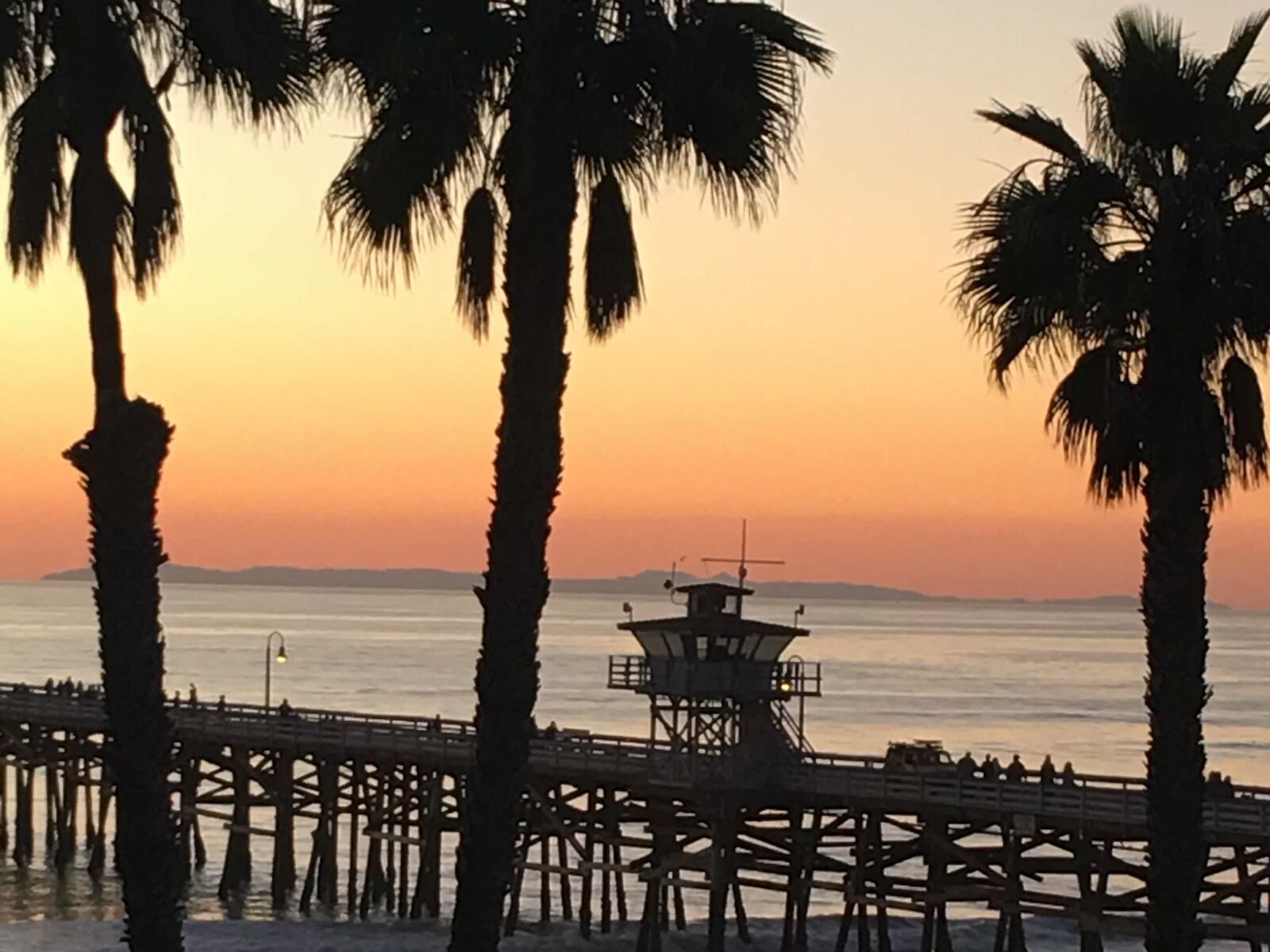 Apple iPhone 6s Plus sample photo. Sunset, palm, island, vacation photography