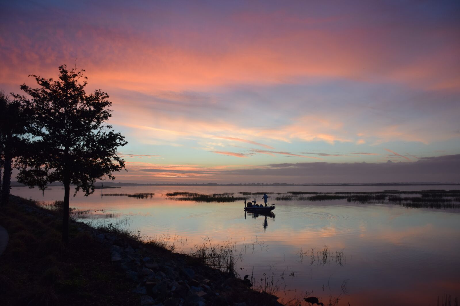 Nikon D5300 sample photo. Fishing, boat, bass photography