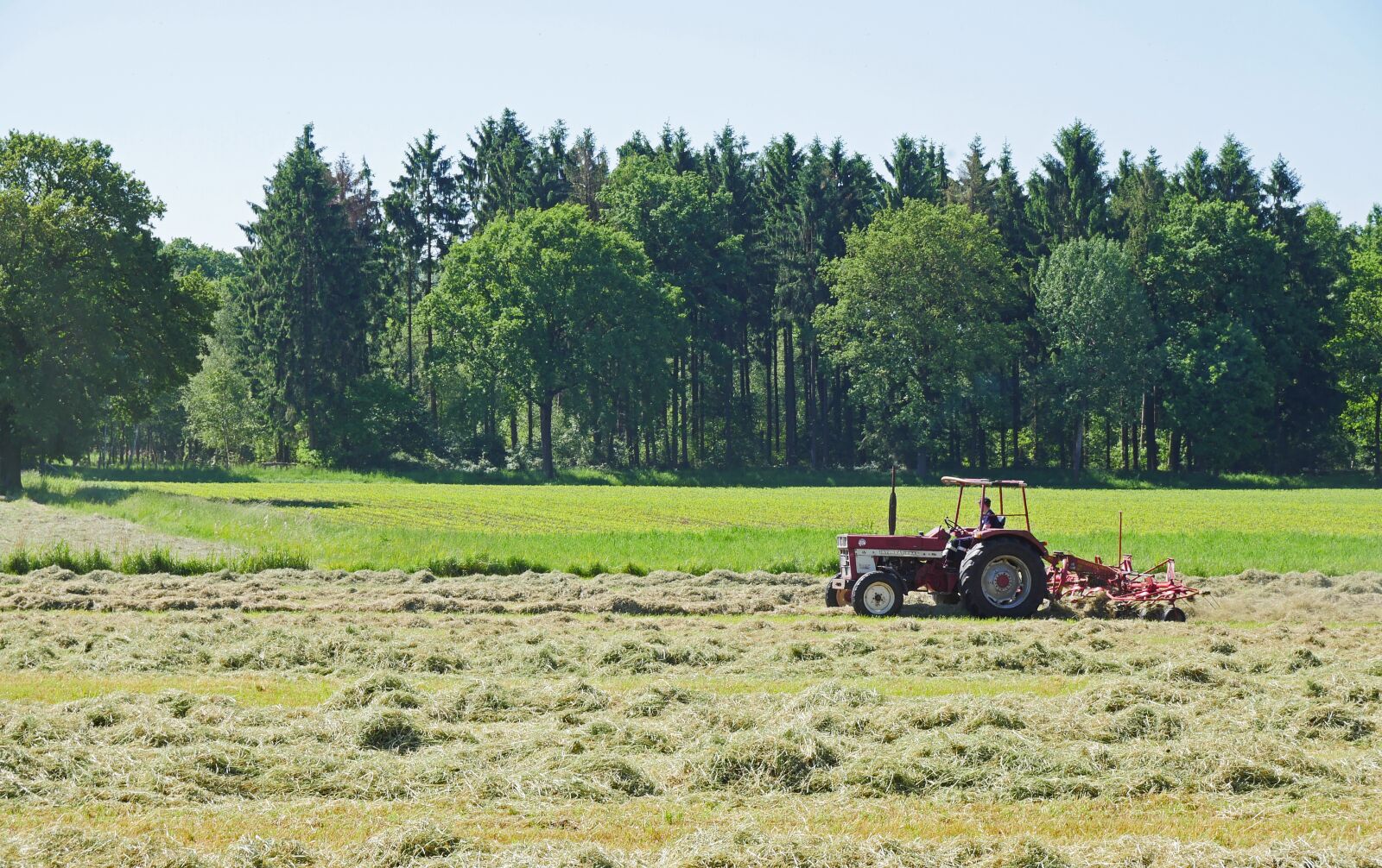 Panasonic Lumix DMC-GX8 sample photo. Hay, grass, may photography