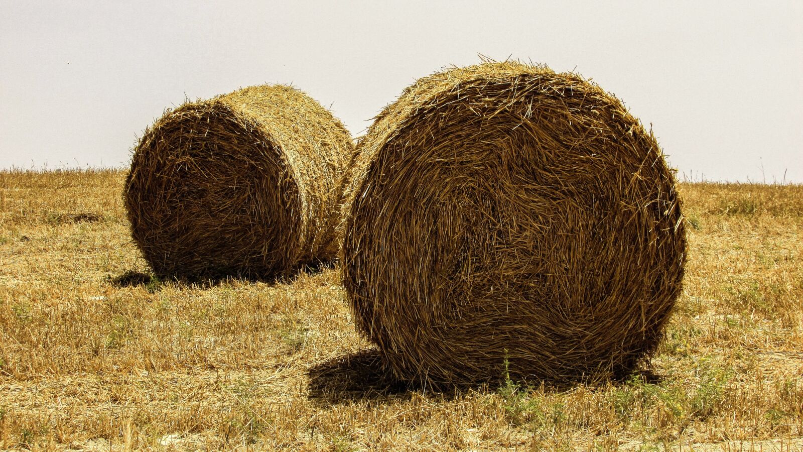 Canon PowerShot SX400 IS sample photo. Hay, bales, field photography