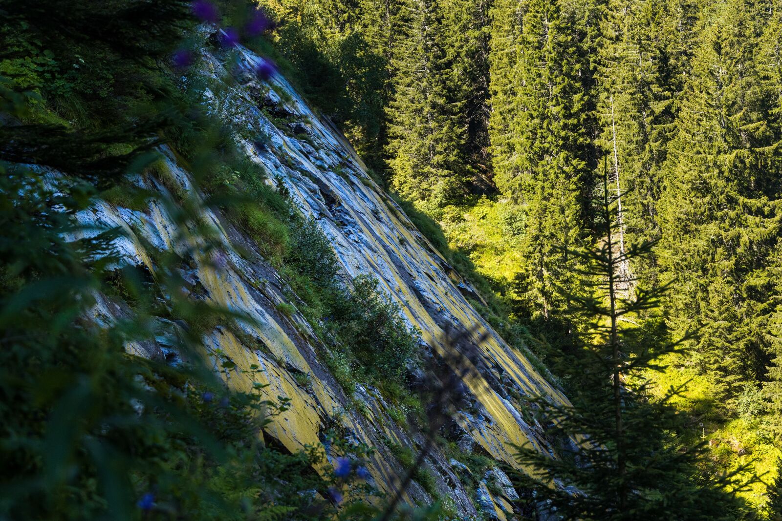 Canon EOS R sample photo. Rock wall, nature, glossy photography