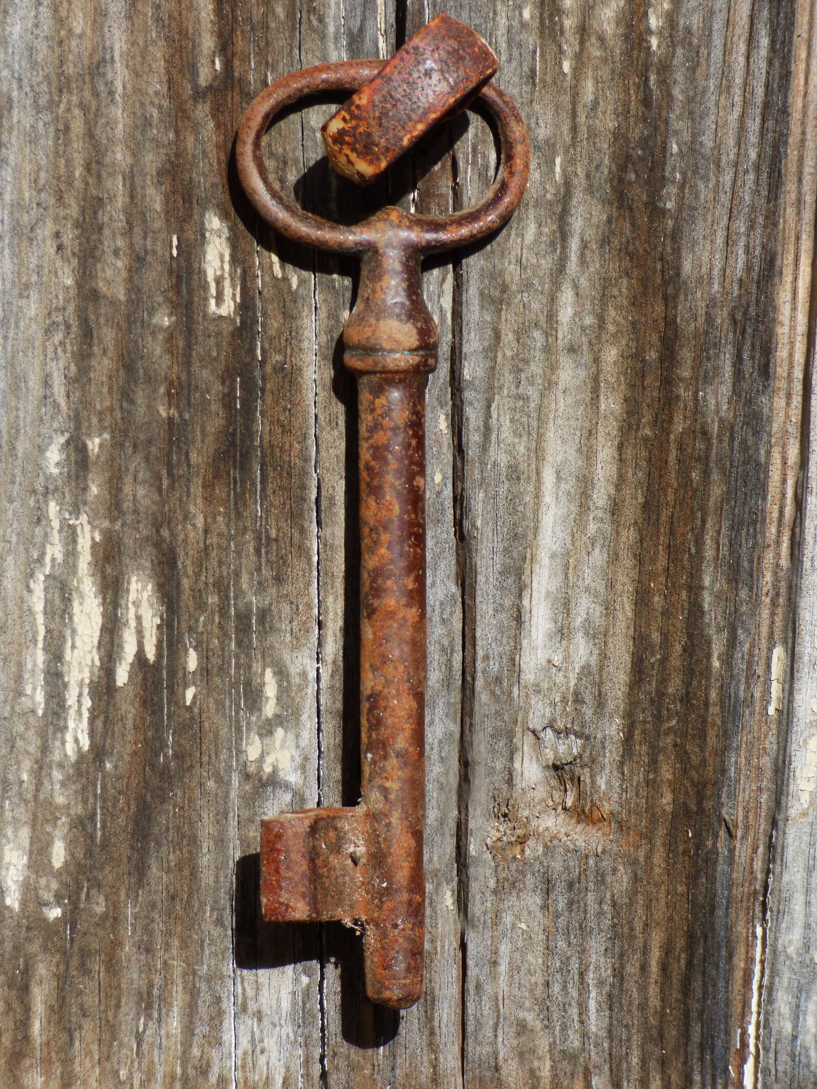 Panasonic Lumix DMC-FZ70 sample photo. Door, key, iron photography