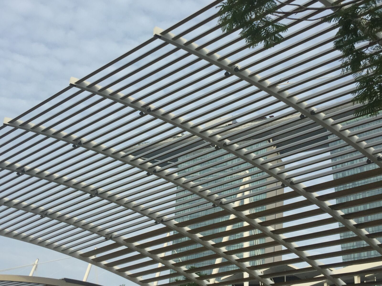iPhone 6 Plus back camera 4.15mm f/2.2 sample photo. Singapore photography