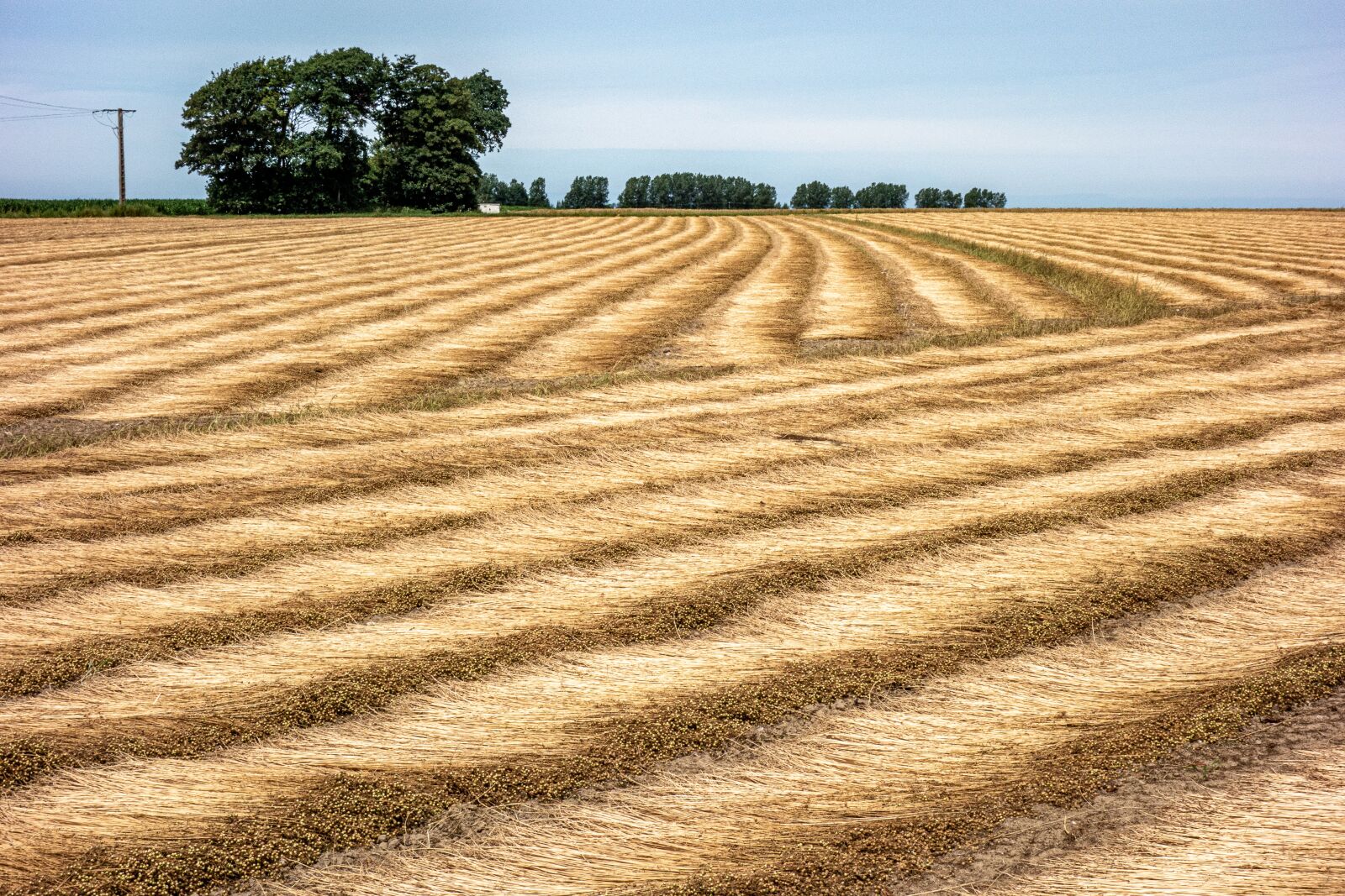 Sony Cyber-shot DSC-RX100 sample photo. Fields, lin, normandy photography