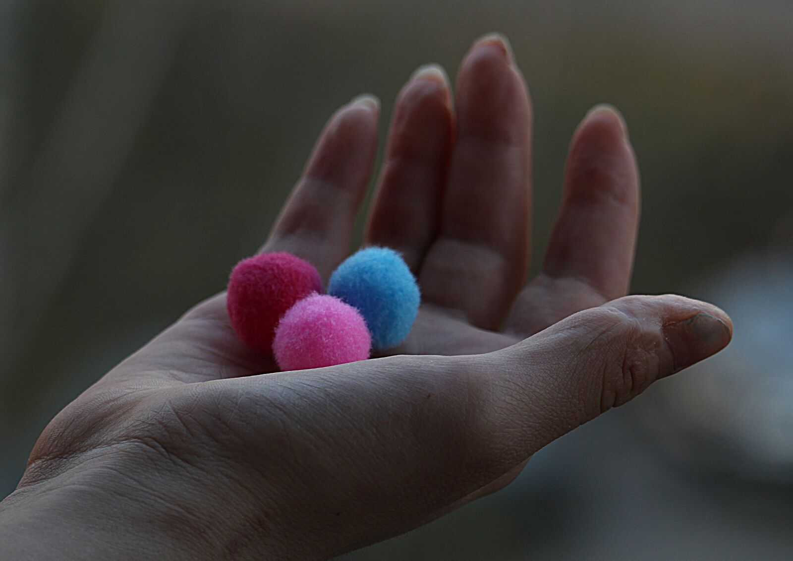 Canon EOS 1200D (EOS Rebel T5 / EOS Kiss X70 / EOS Hi) sample photo. Hand, brush, art photography