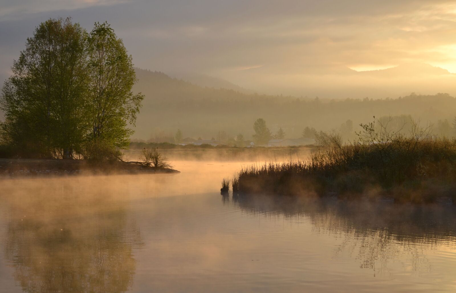 Nikon D3100 sample photo. Morning, sunrise, trees photography