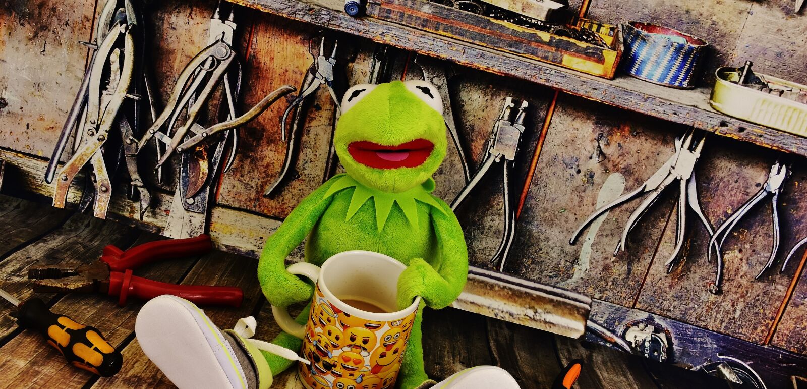Nikon D7200 sample photo. Kermit, workshop, coffee break photography