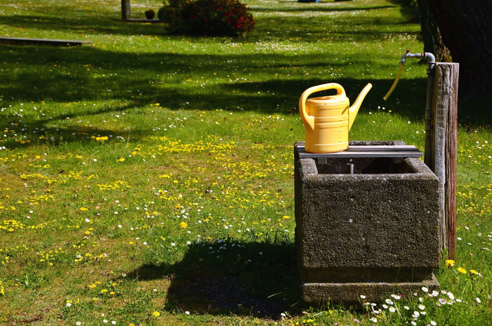 Nikon D5100 sample photo. Faucet, water, grass, tree photography