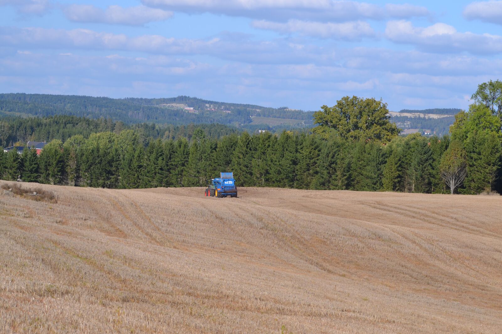 Nikon D3100 sample photo. Agriculture, forest, landscape photography
