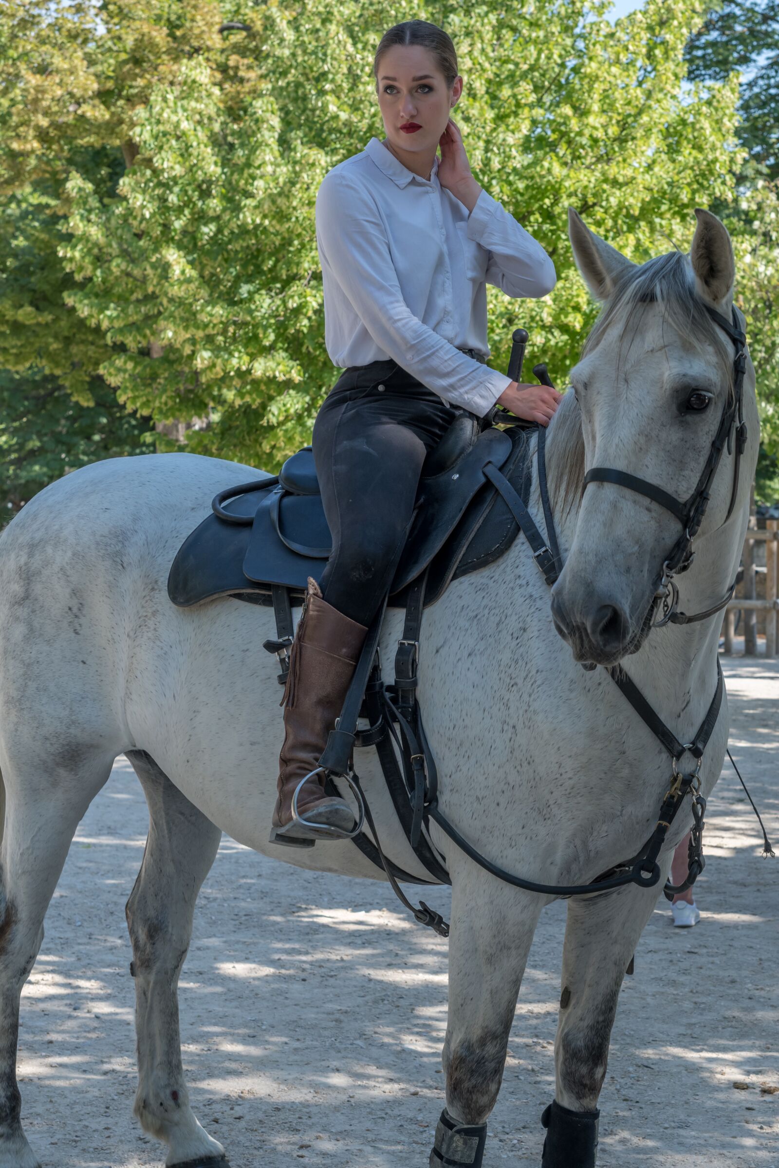 ZEISS Milvus 50mm F1.4 sample photo. France, nimes, horse photography