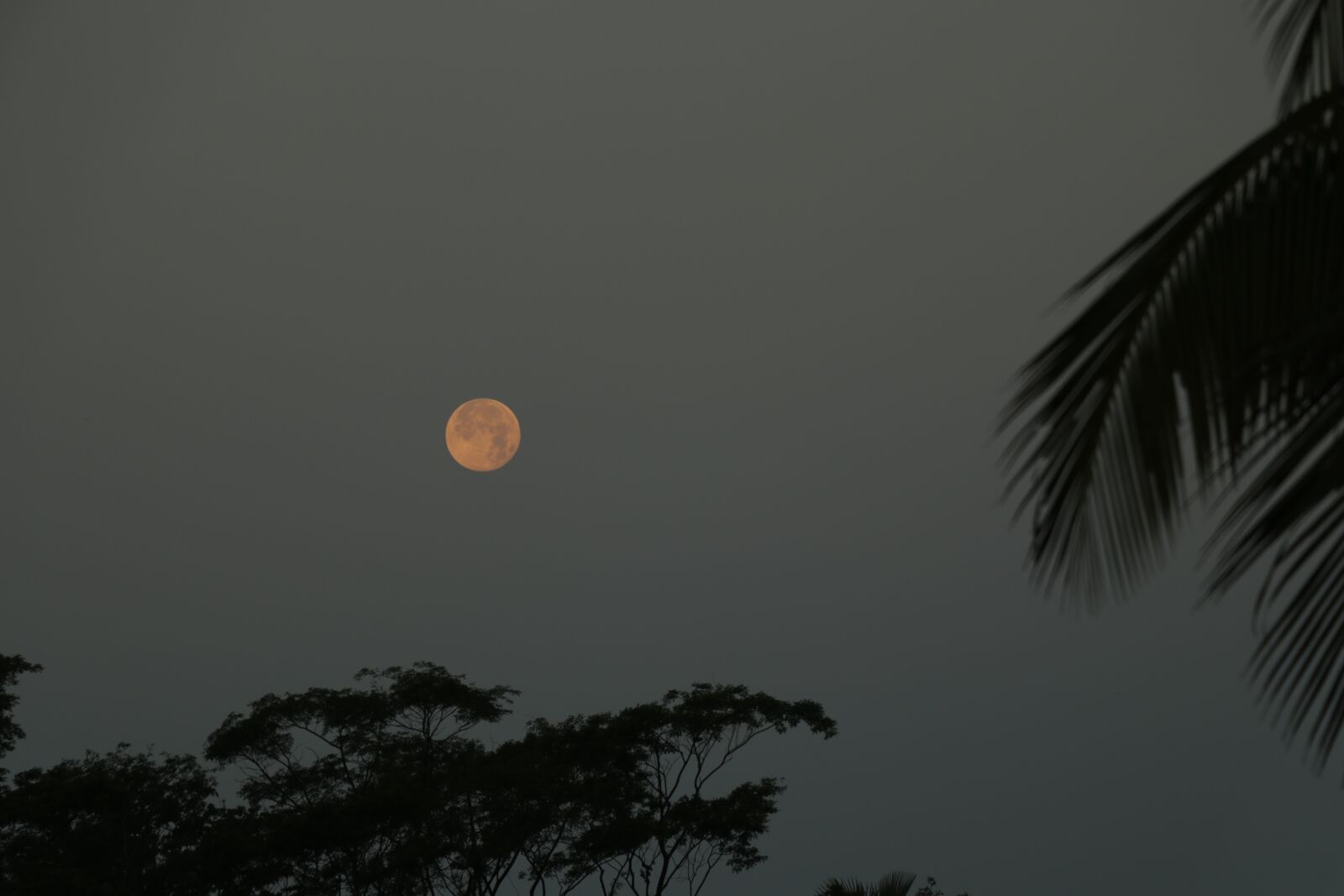 Canon EF-S 18-135mm F3.5-5.6 IS USM sample photo. Moon, supermoon, night photography