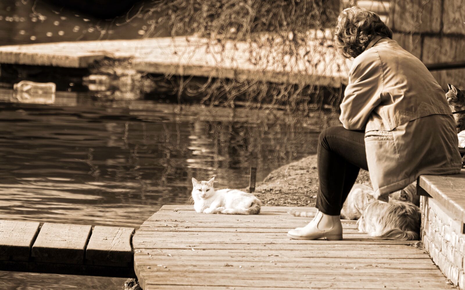 Nikon D5300 sample photo. Woman, adult, person photography