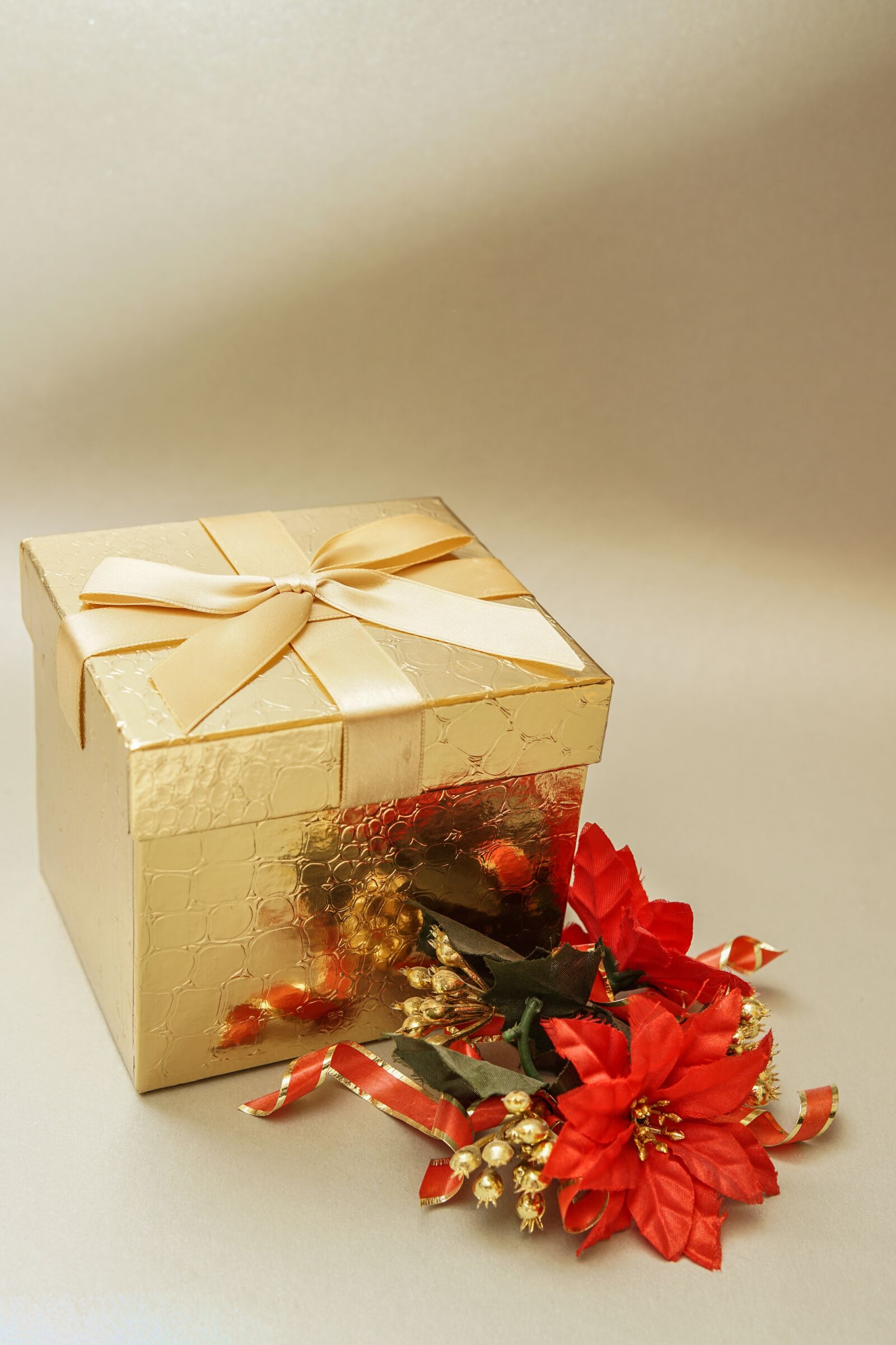 30mm F1.4 DC DN | Contemporary 016 sample photo. Christmas, gift, cardboard photography