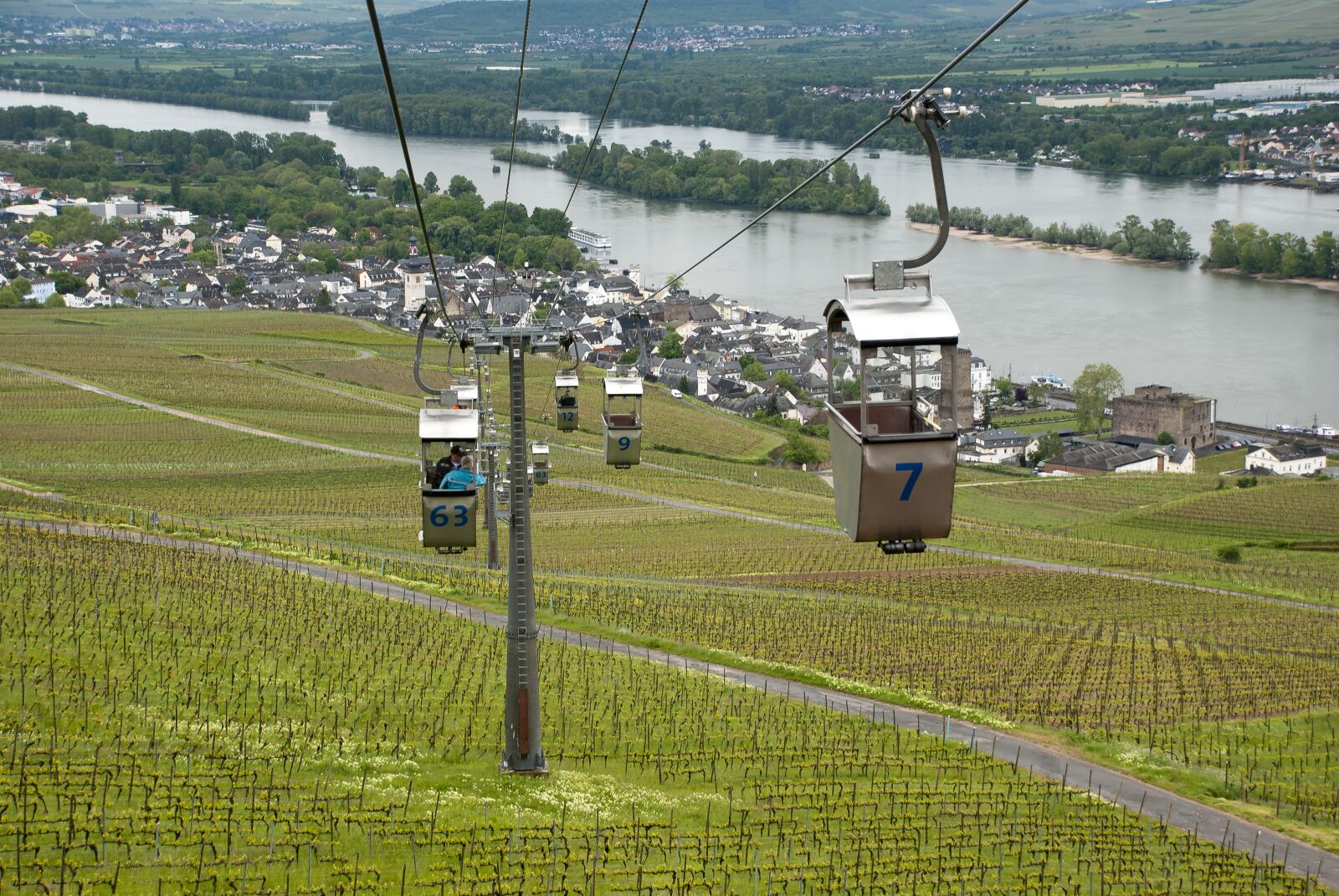 Nikon D80 sample photo. R desheim am rhein photography