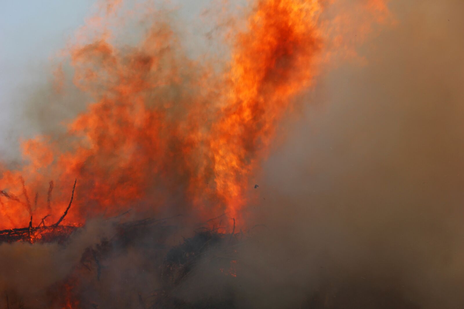 Canon EOS 600D (Rebel EOS T3i / EOS Kiss X5) sample photo. Easter fire, fire, flame photography