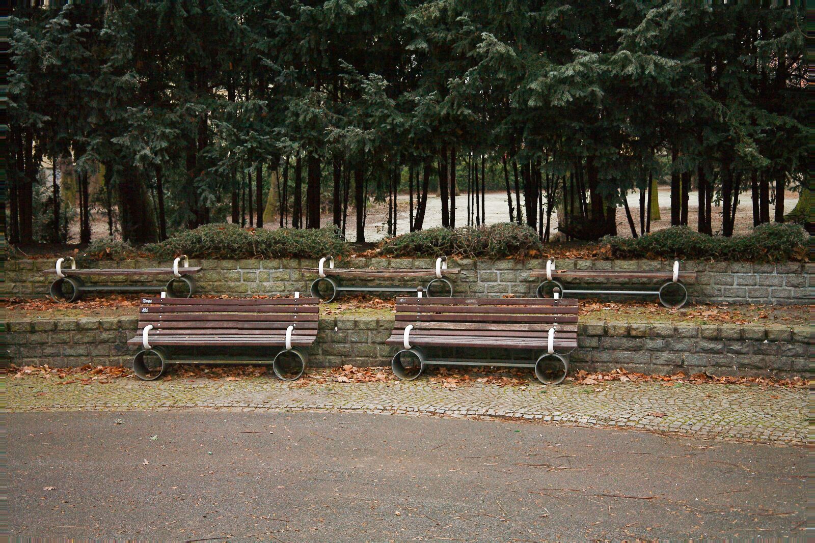 Canon EOS 5D sample photo. Tree, nature, empty photography