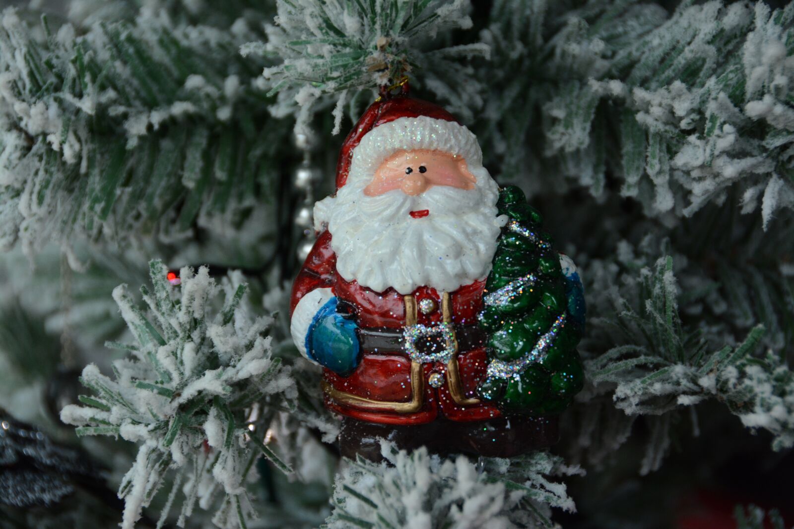 Nikon D7100 sample photo. St nicholas, father christmas photography