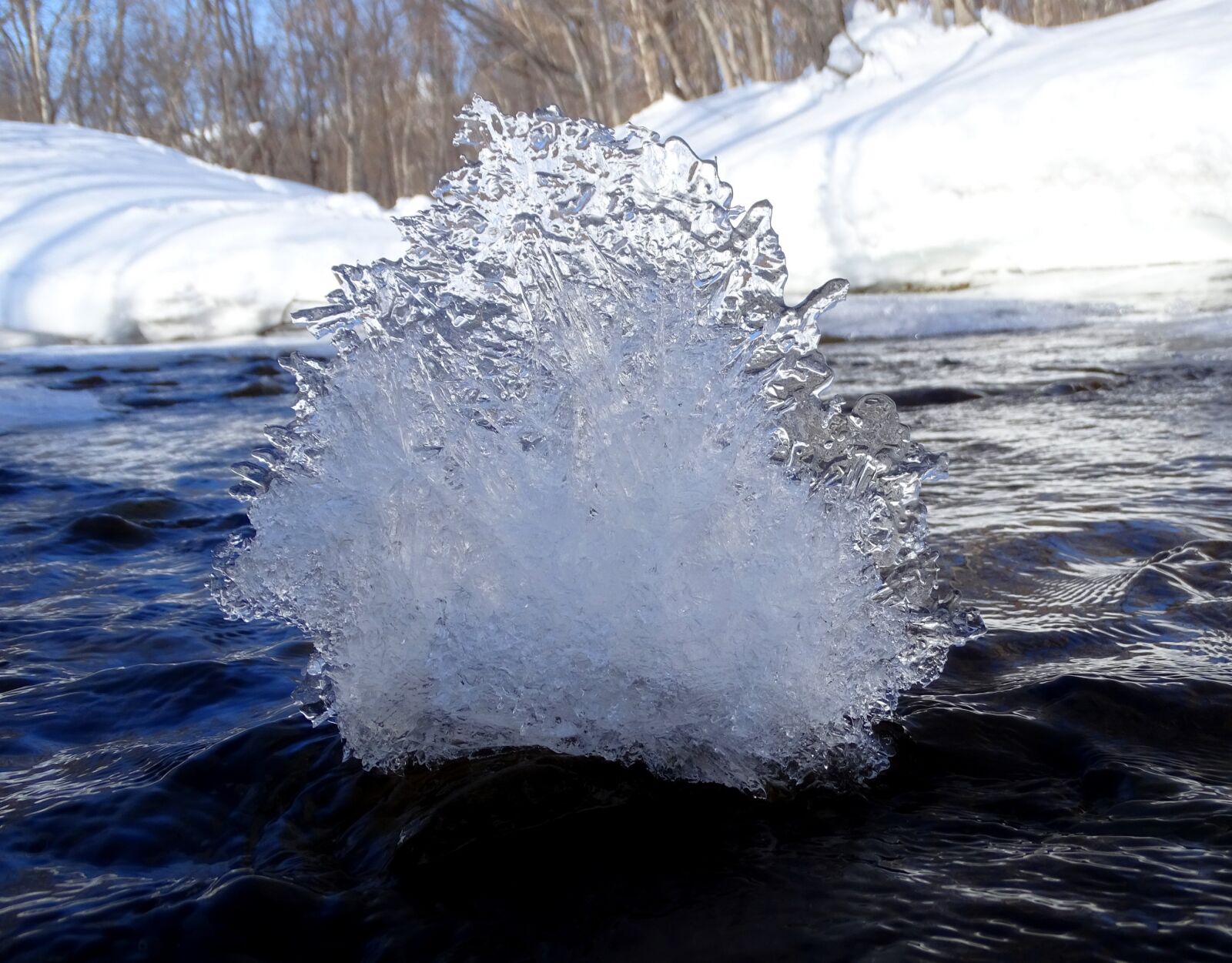 Sony DSC-HX400 sample photo. River, forest, winter photography