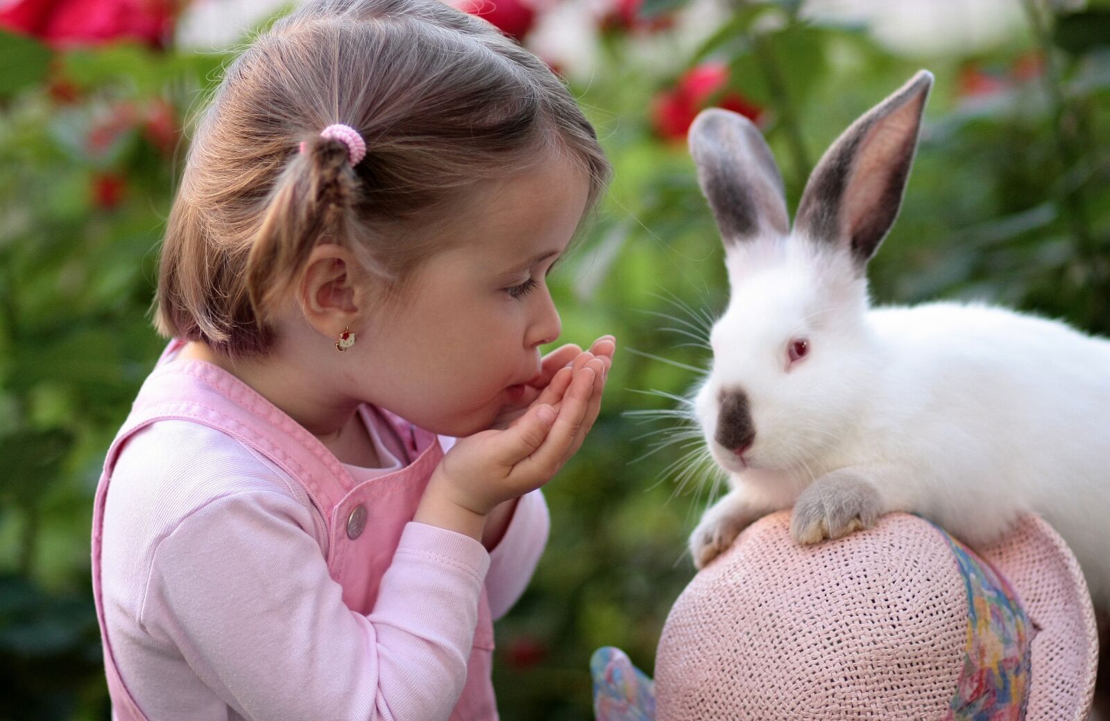 Canon EOS 450D (EOS Rebel XSi / EOS Kiss X2) sample photo. Girl, rabbit, friendship photography