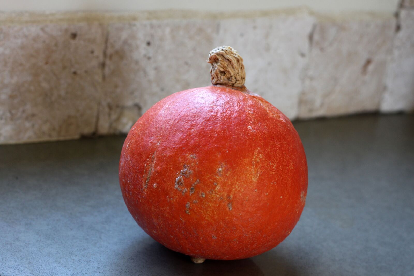 Canon EOS 650D (EOS Rebel T4i / EOS Kiss X6i) + Canon EF 50mm F1.8 II sample photo. Pumpkin, food, vegetable photography