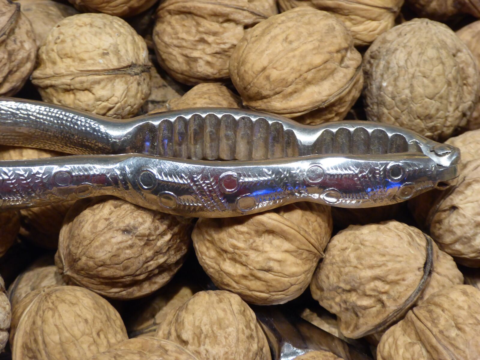 Panasonic DMC-TZ61 sample photo. Nuts, walnuts, nutrition photography