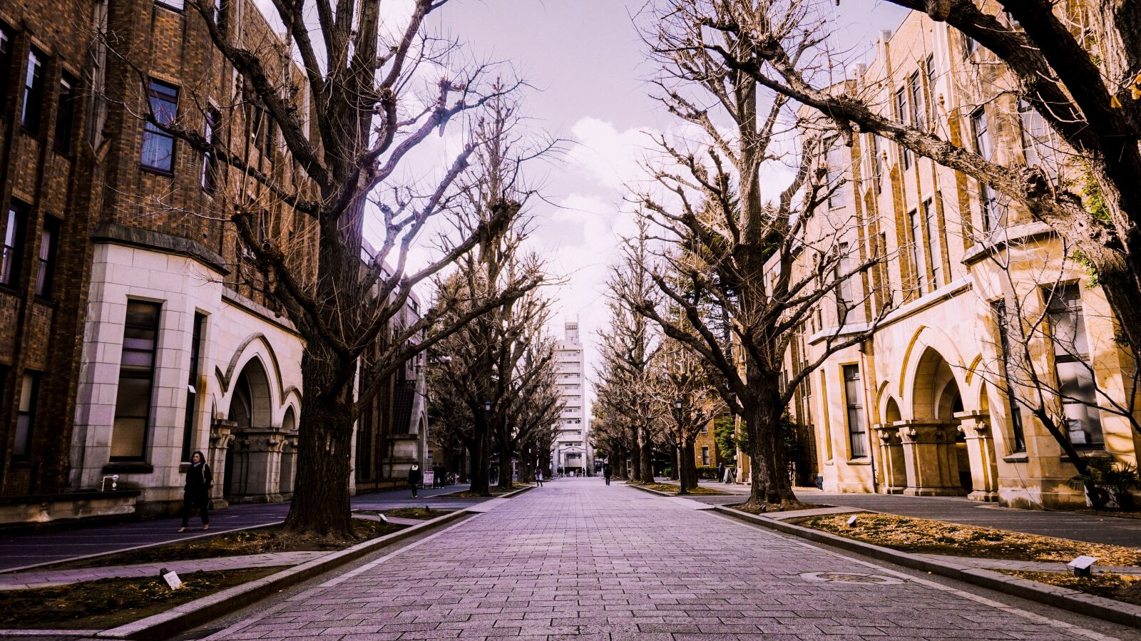 Sony E 16-50mm F3.5-5.6 PZ OSS sample photo. Winter, japan, university of photography