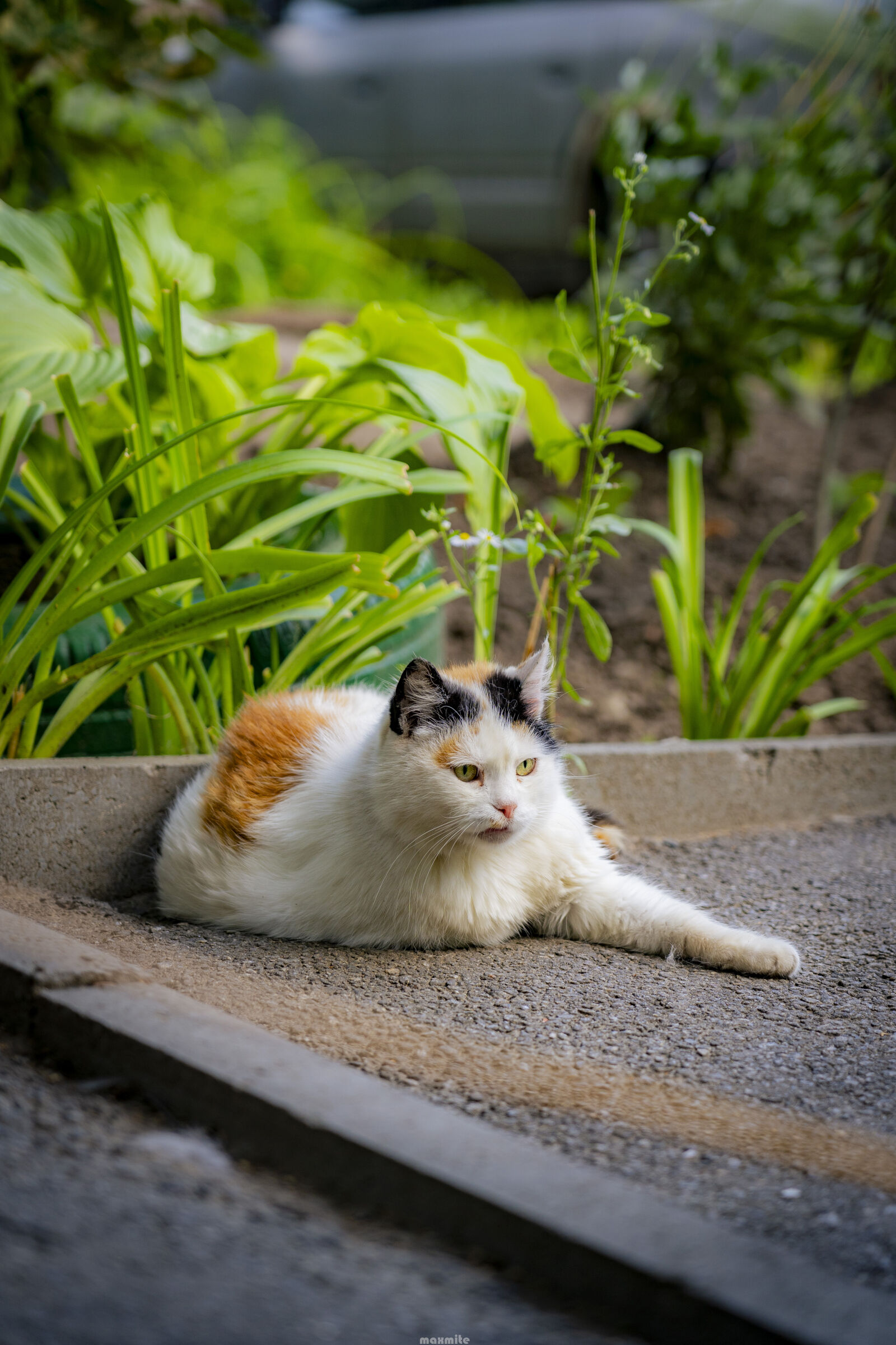 Sony a7 III + Sony FE 24-105mm F4 G OSS sample photo