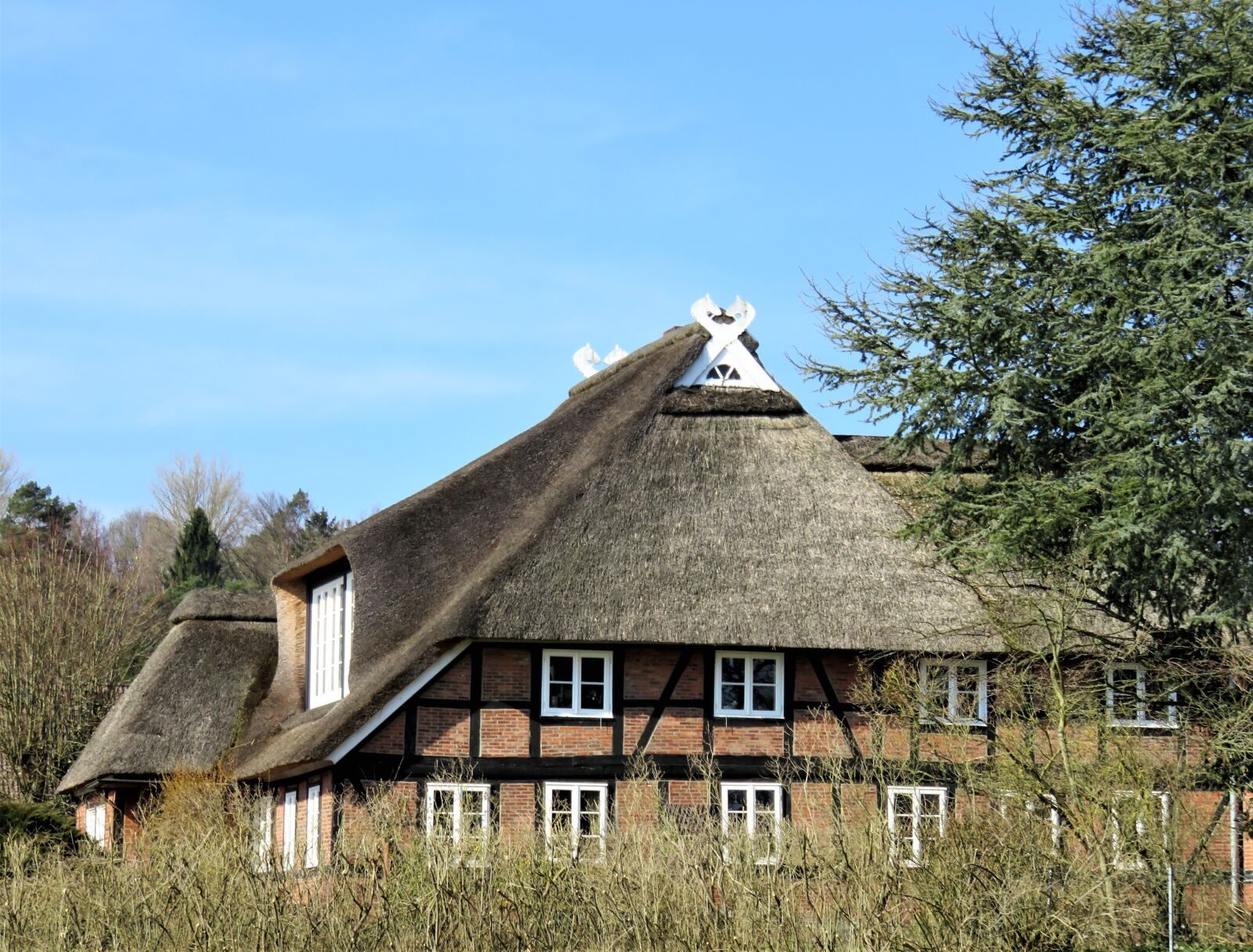 Canon PowerShot SX710 HS sample photo. Thatched cottage, fachwerkhaus, architecture photography