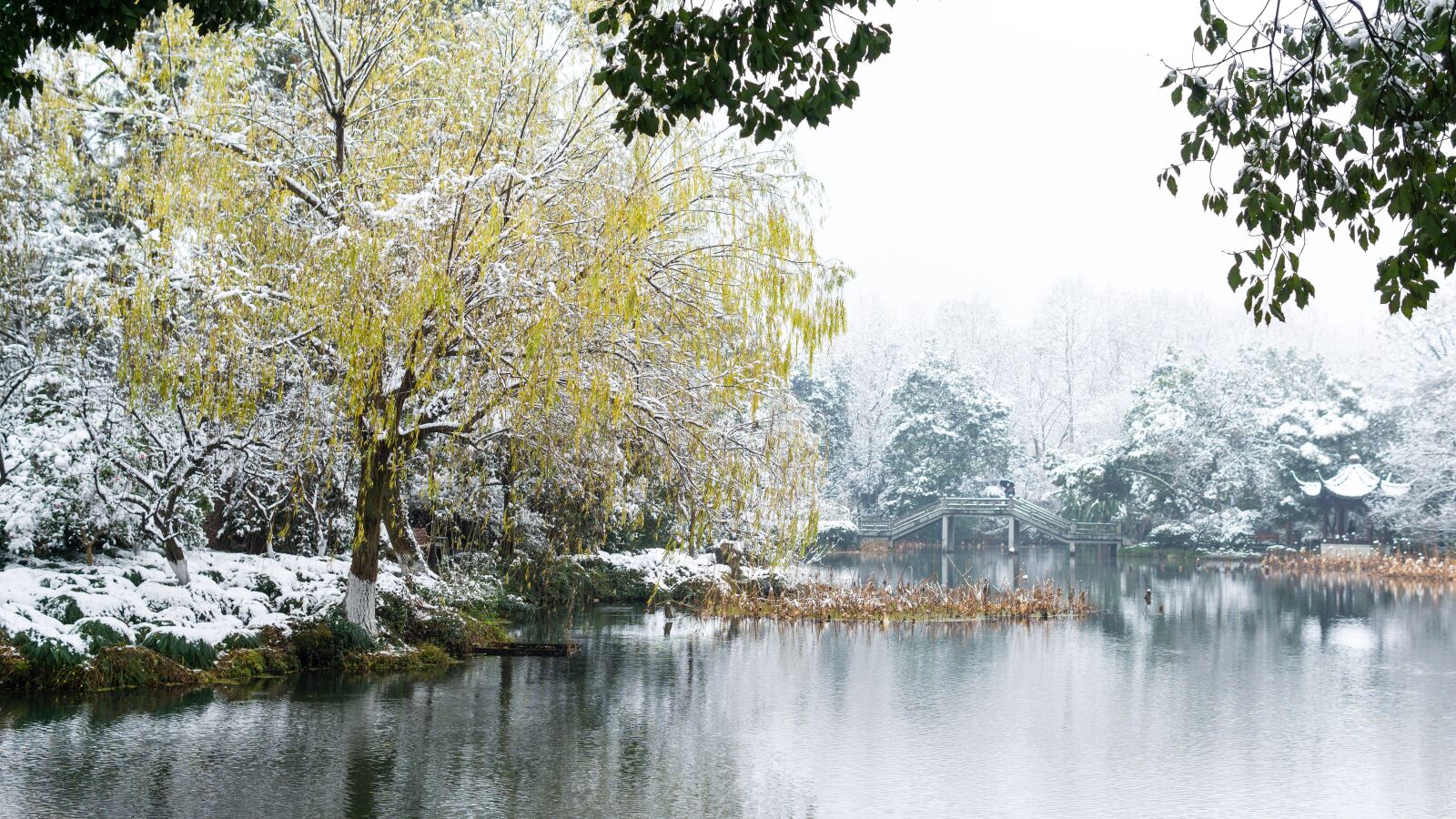 Sony a5100 sample photo. Snow, the scenery, park photography