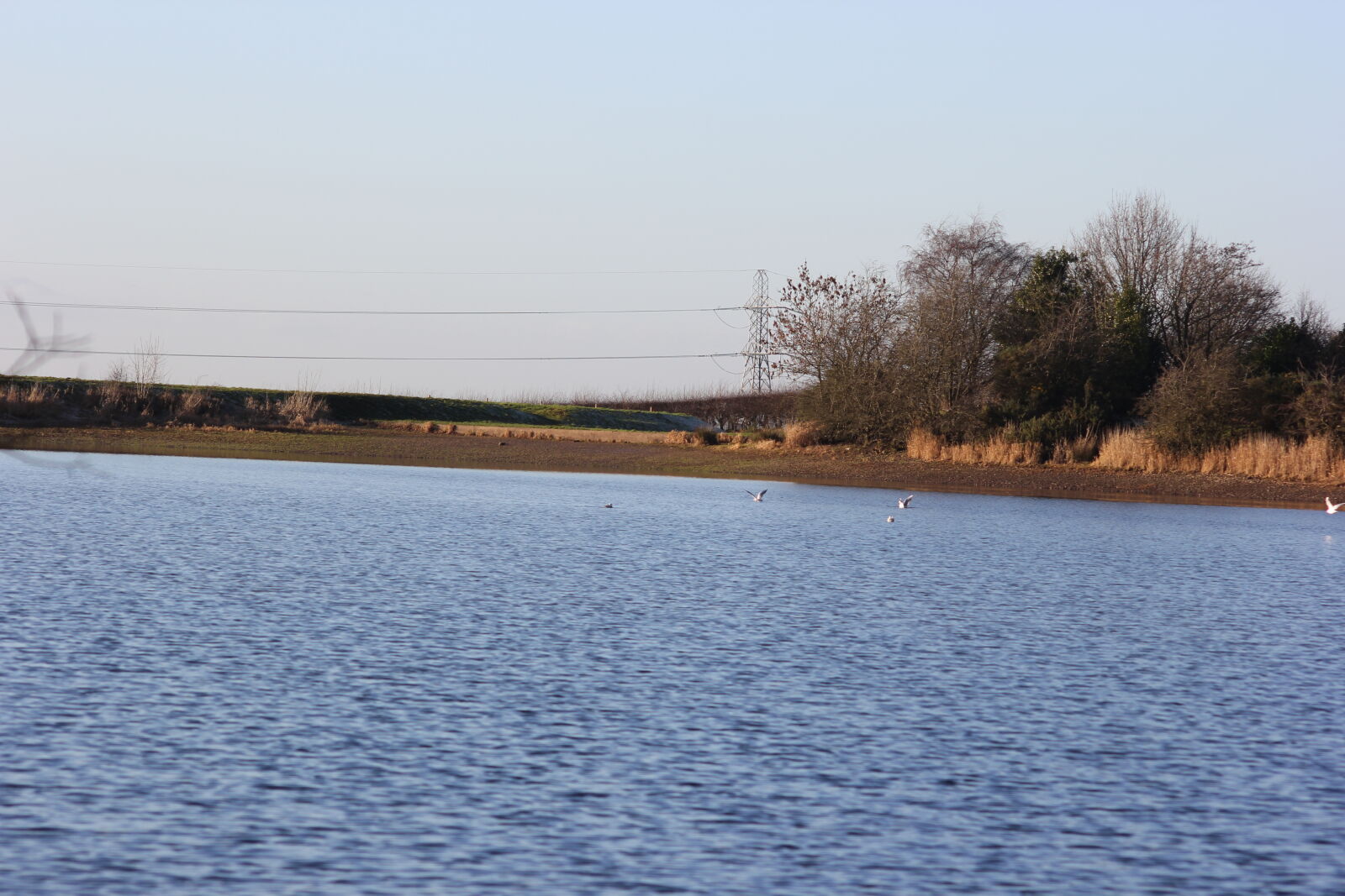Canon EOS 1300D (EOS Rebel T6 / EOS Kiss X80) sample photo. Cheshire, sutton photography