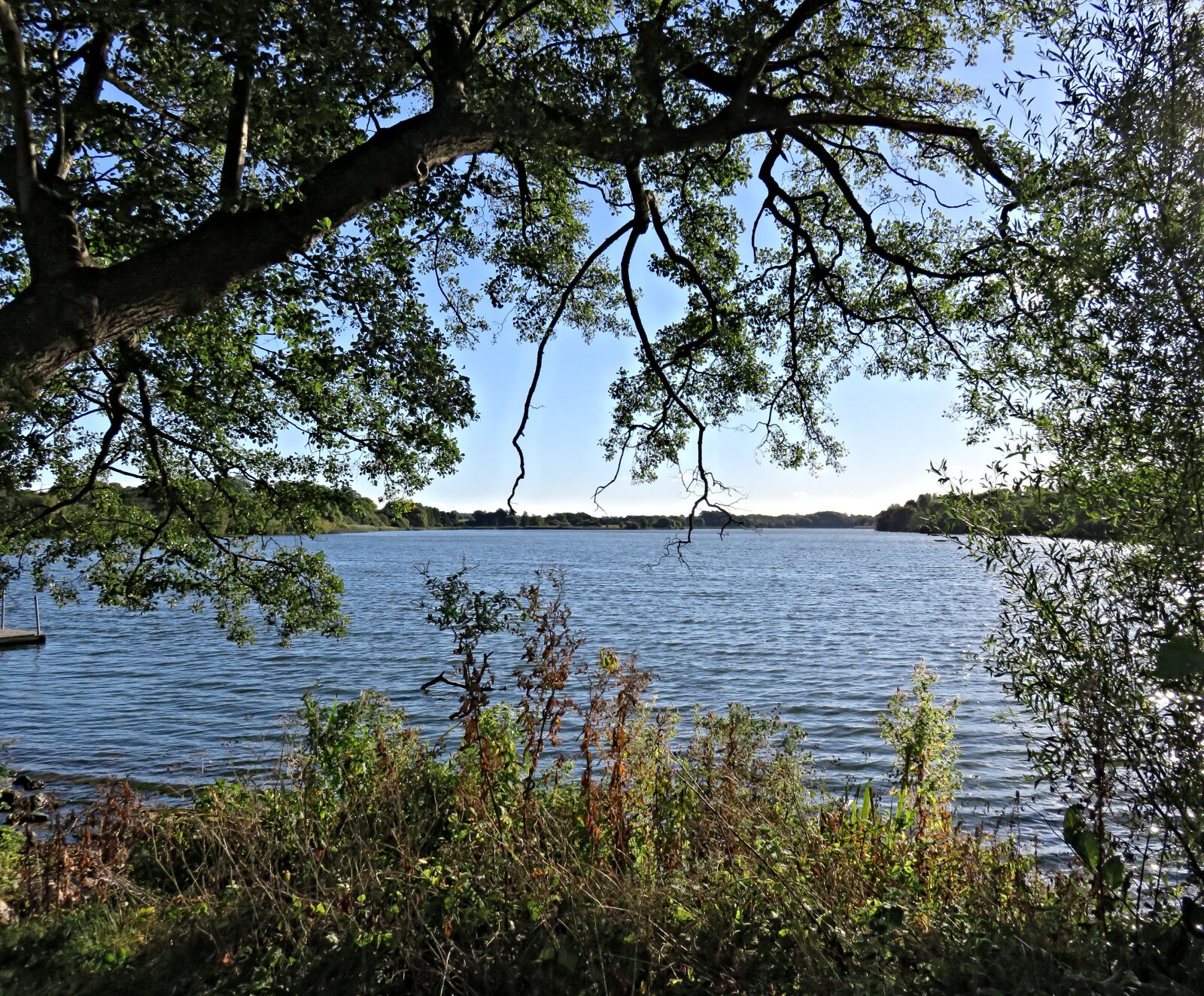 Canon PowerShot SX710 HS sample photo. Landscape, north borger lake photography