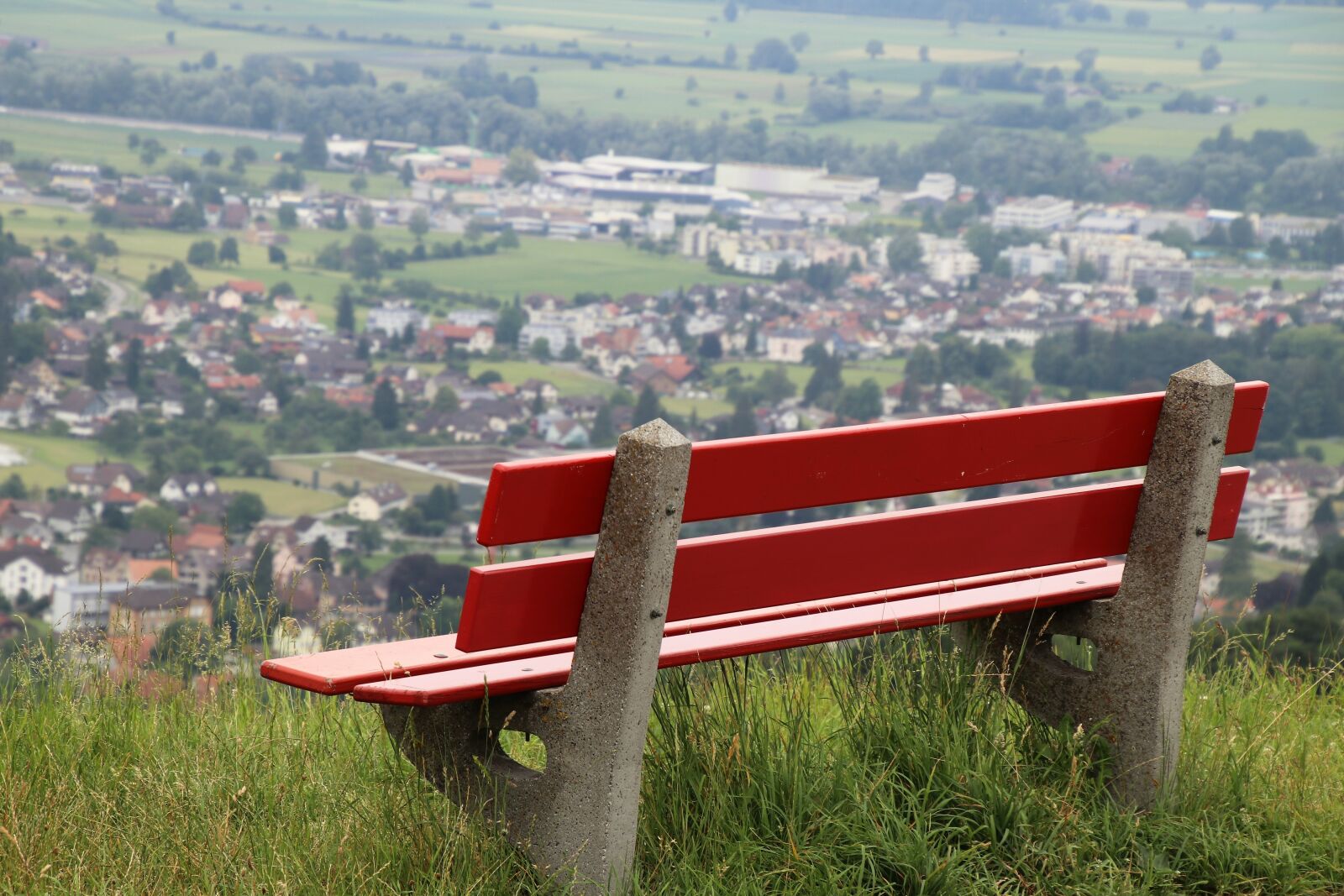 Canon EOS 80D sample photo. Bench, far view, grass photography