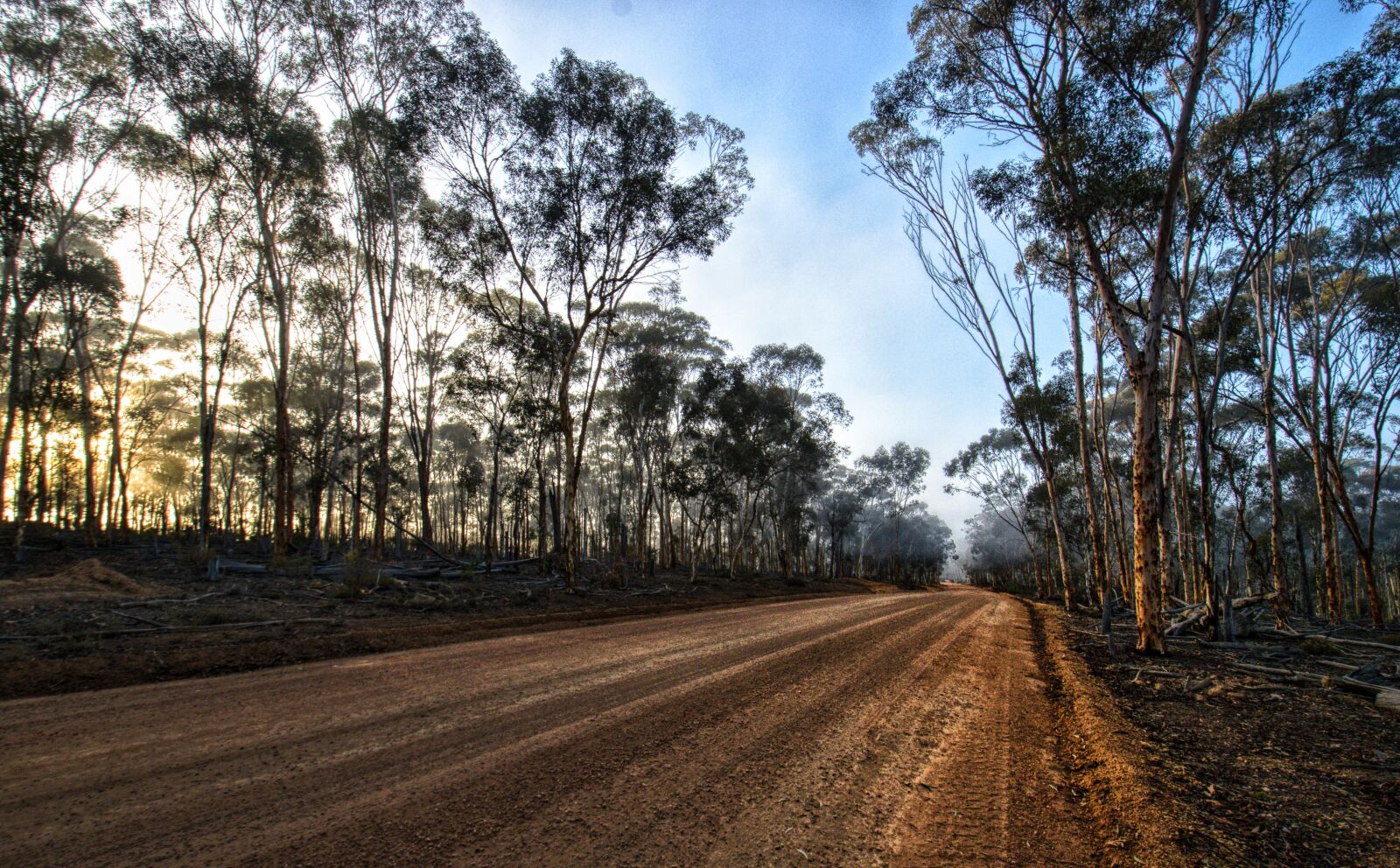 Nikon D3300 sample photo. Dryandra, dawn, gravel photography