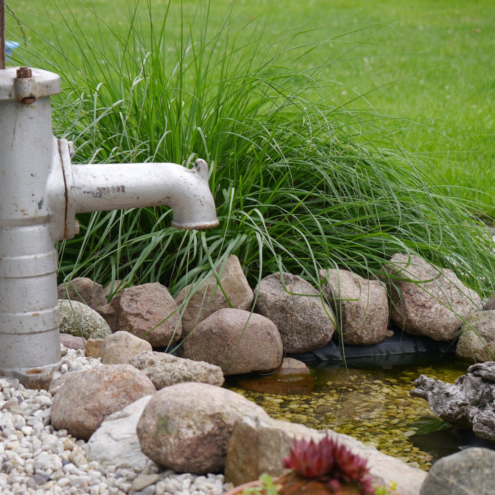 Panasonic Lumix DMC-G5 sample photo. Grass, fountain, water fountain photography