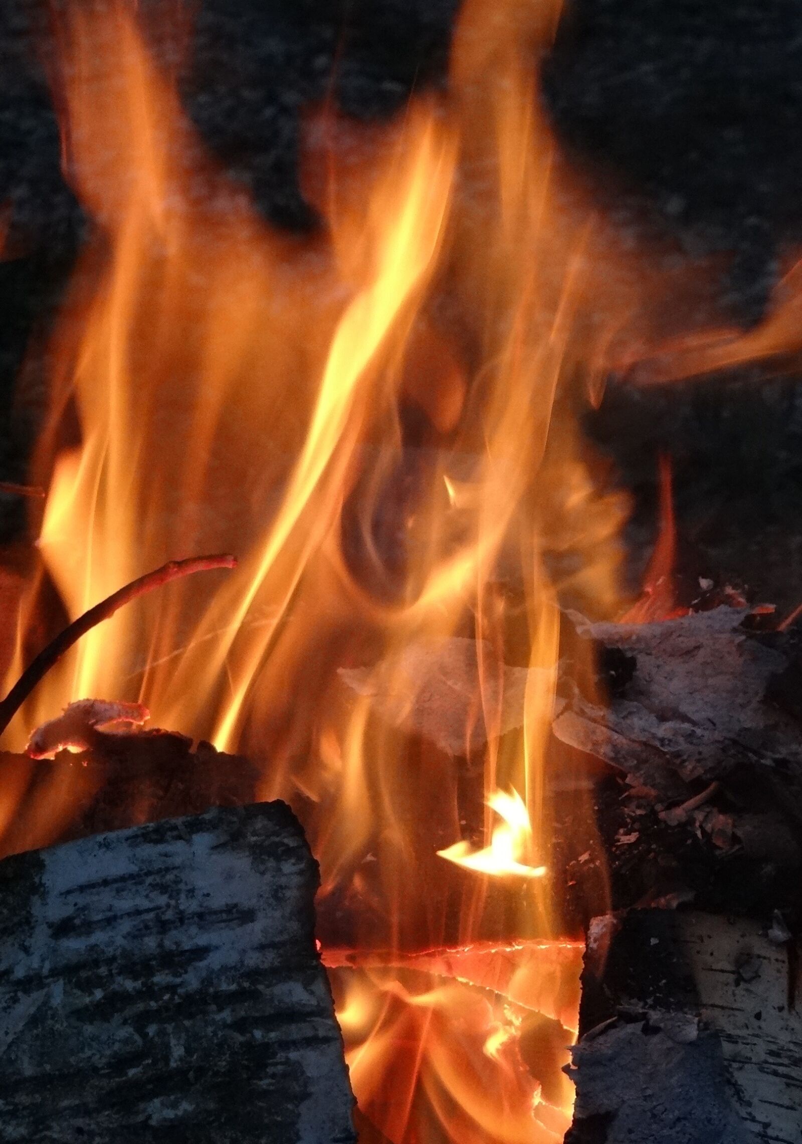 Sony DSC-HX200V sample photo. Fire, flame, wood photography