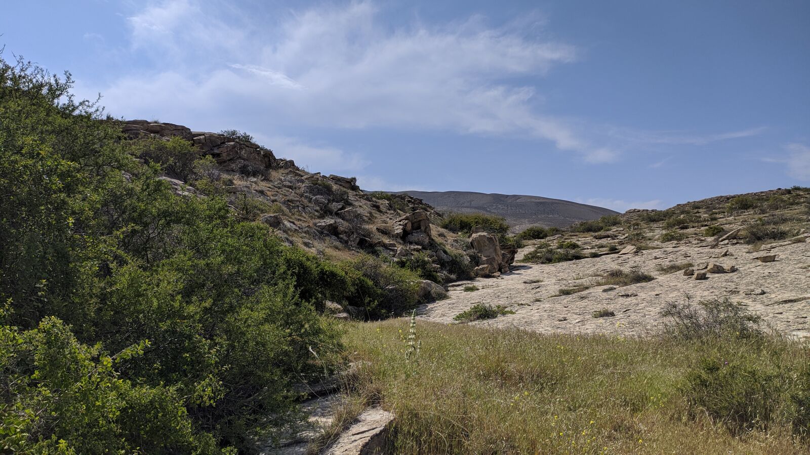 Xiaomi Redmi Note 8 sample photo. Azerbaijan, nature, greenlife photography