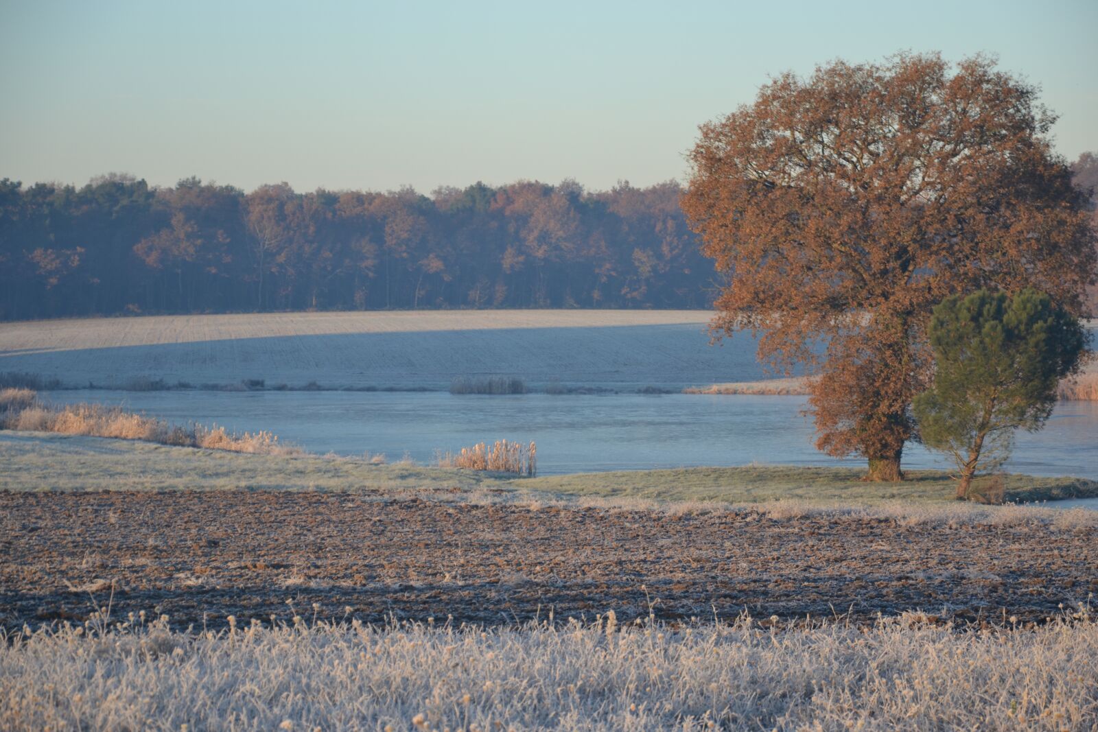 Nikon D3100 sample photo. Indre, ponds of the photography