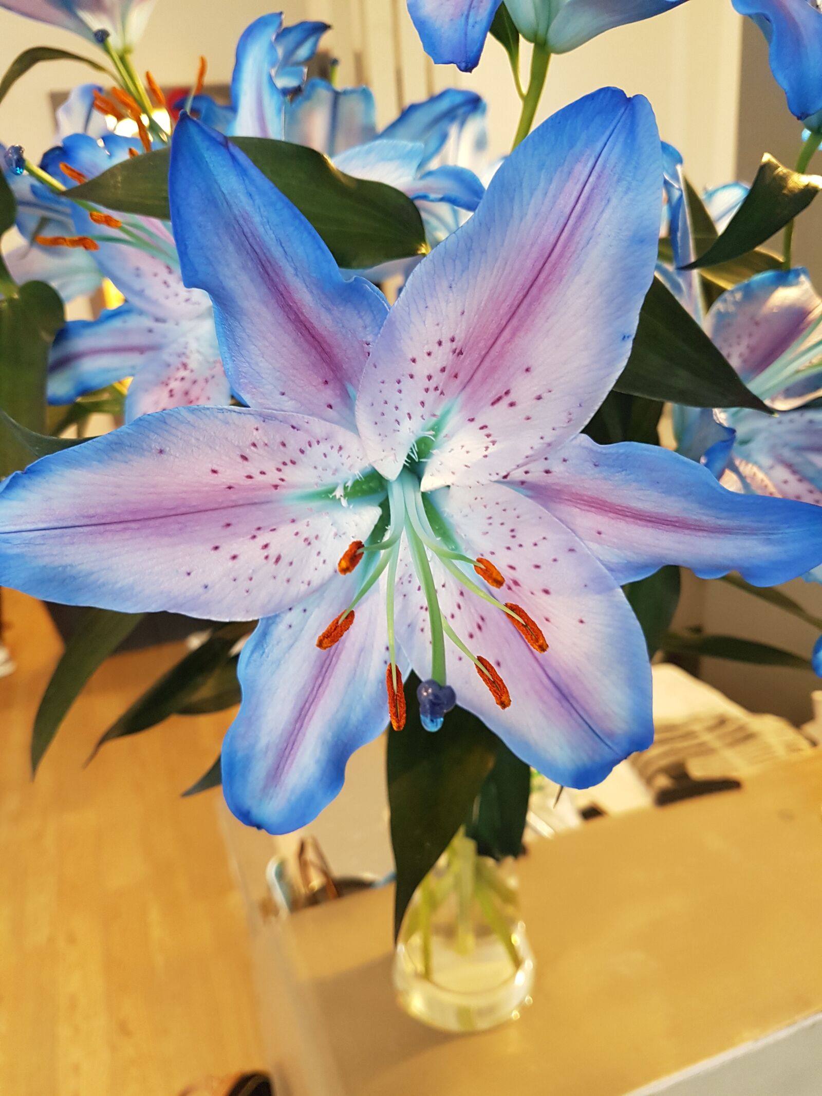 Samsung Galaxy S7 Edge sample photo. Pink, blue, lily photography