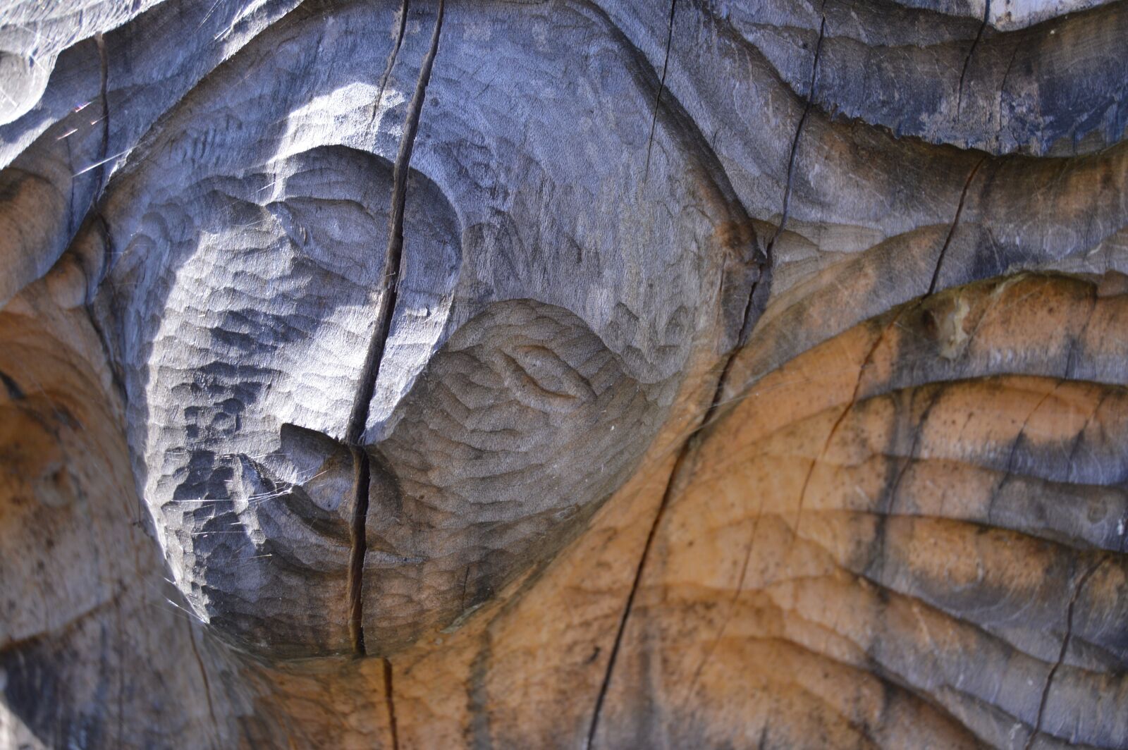 Nikon D3200 sample photo. Wood, figure, background photography