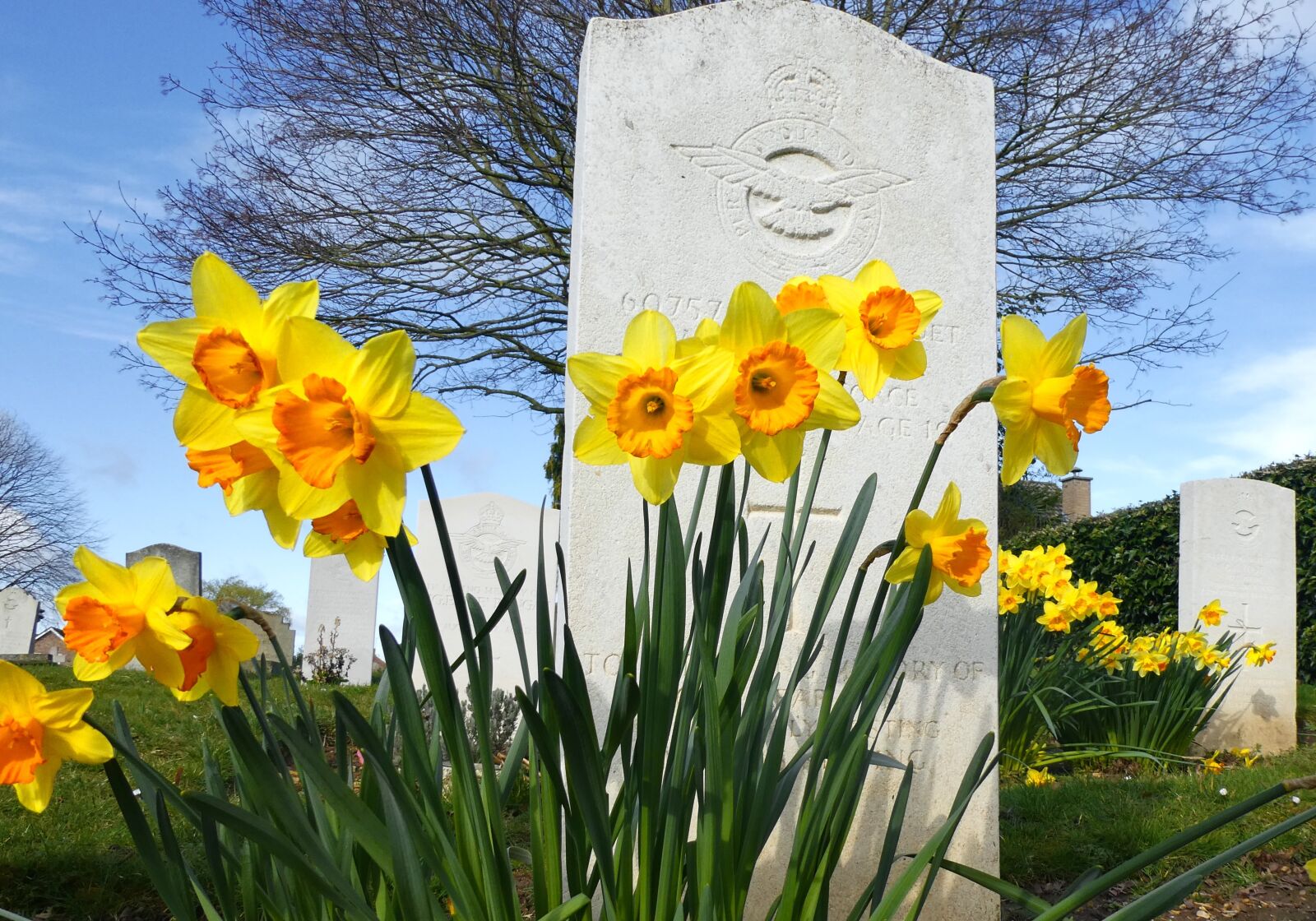 Panasonic Lumix DC-ZS70 (Lumix DC-TZ90) sample photo. Cemetery, flowers, grave photography