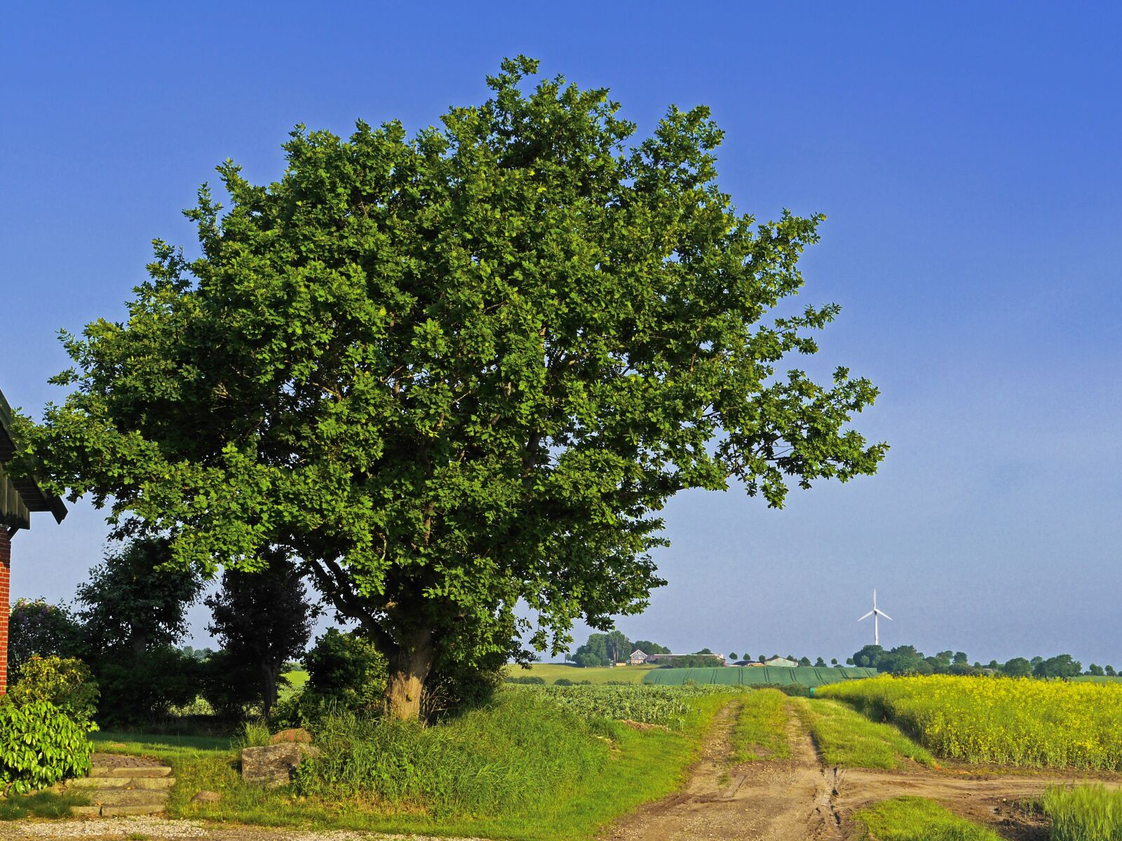Panasonic Lumix DMC-GH3 sample photo. In the countryside, spring photography