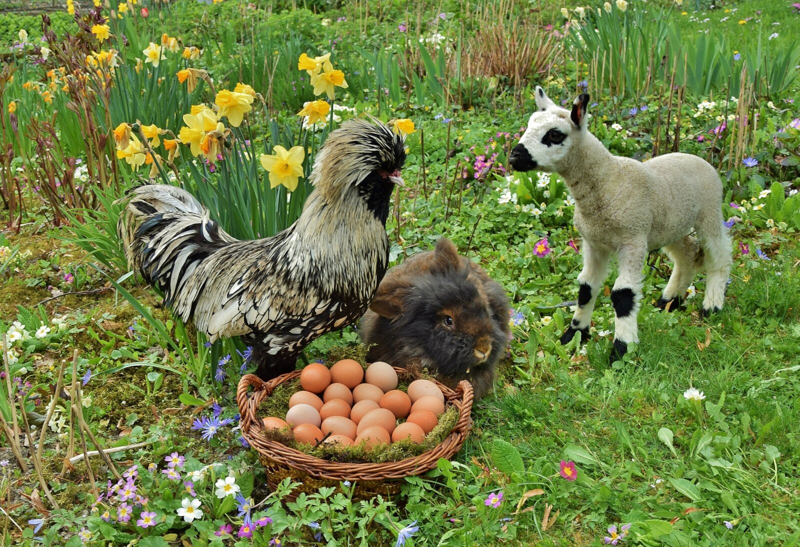 Nikon D5300 sample photo. Easter bunny, easter, rabbit photography