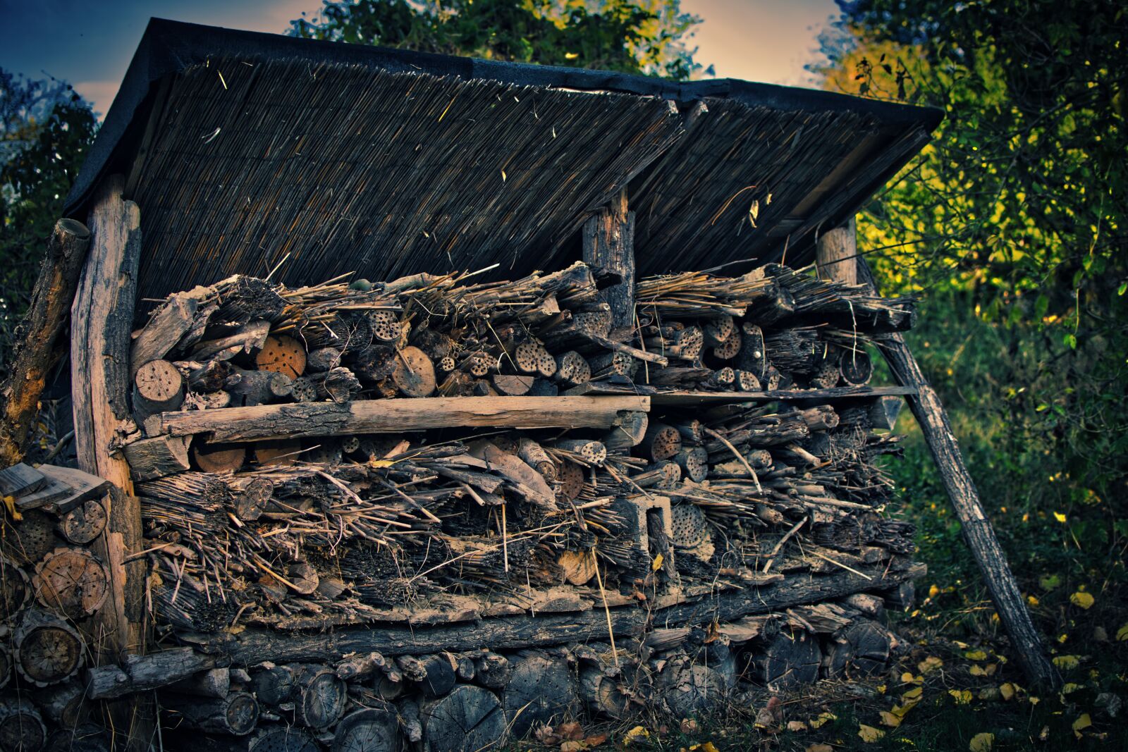 Nikon D5300 sample photo. Insect hotel, nature, wood photography