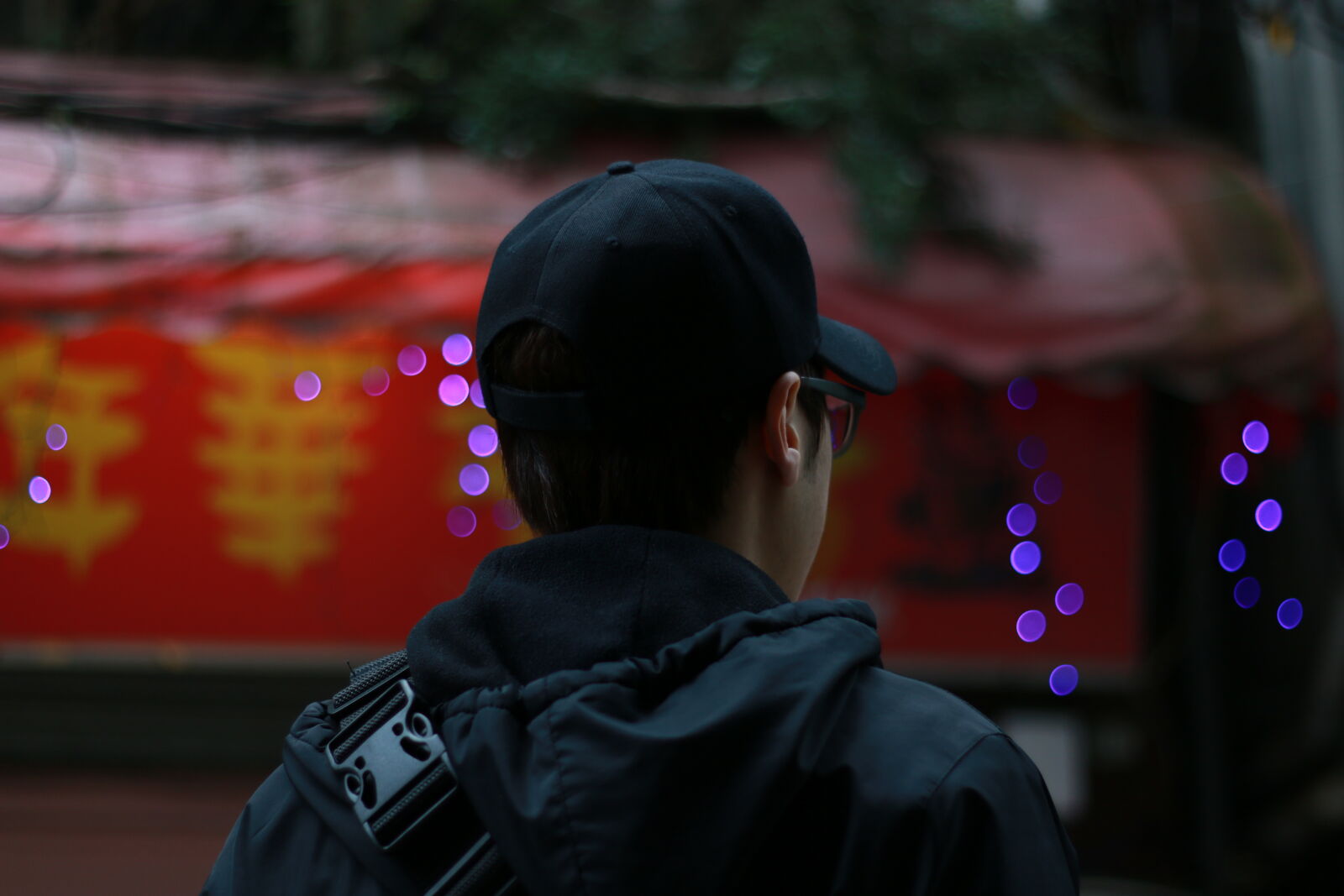 Canon EOS 70D + Canon EF 50mm F1.8 II sample photo