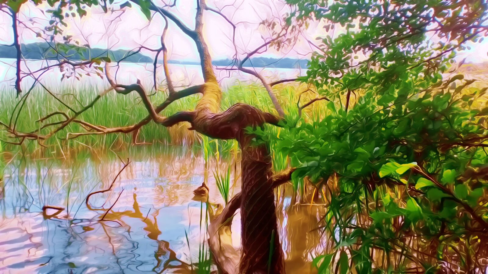 Sony Xperia L1 sample photo. Tree by the lake photography