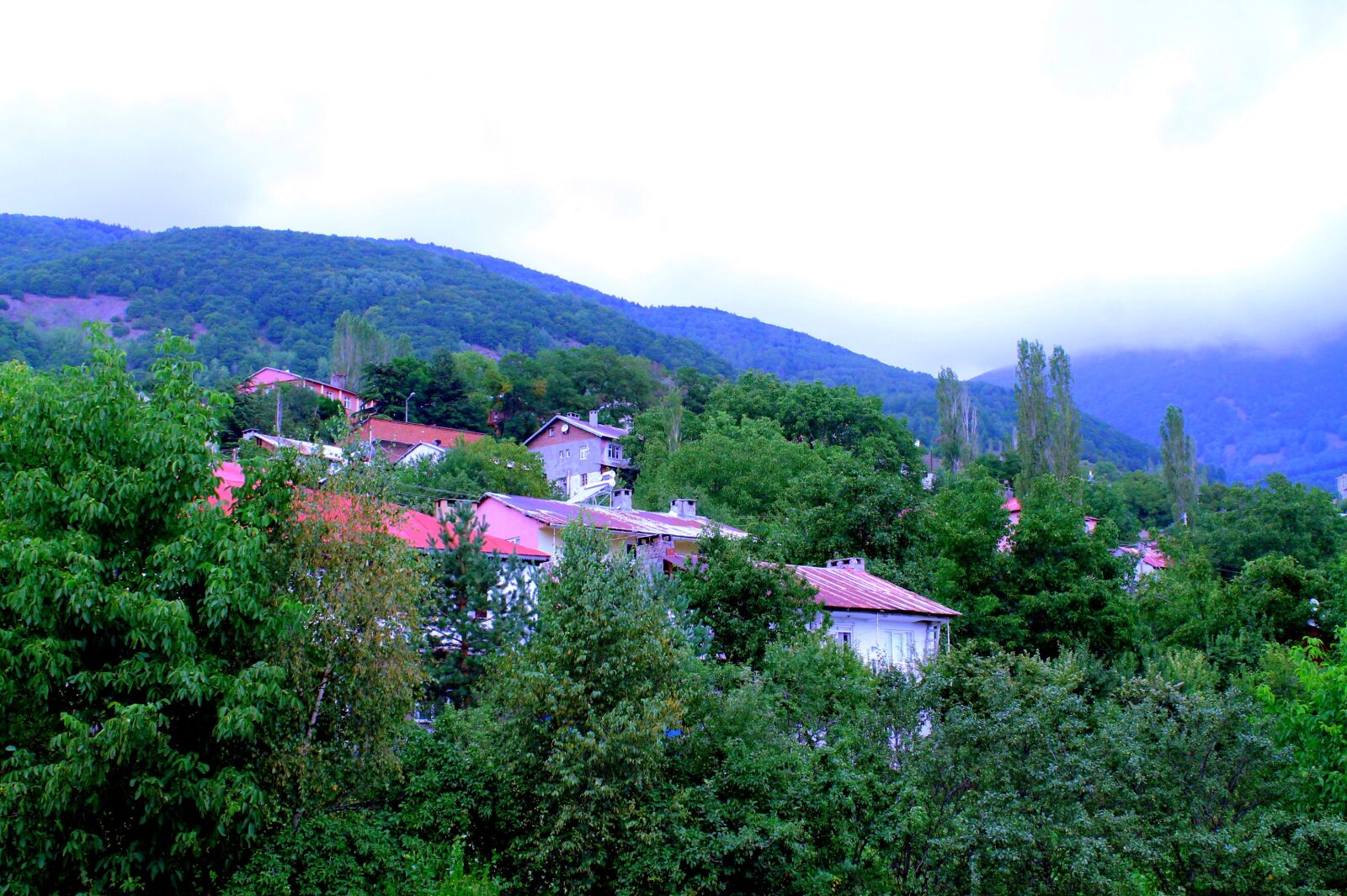 Canon EOS 1100D (EOS Rebel T3 / EOS Kiss X50) sample photo. Village, nature, forest photography