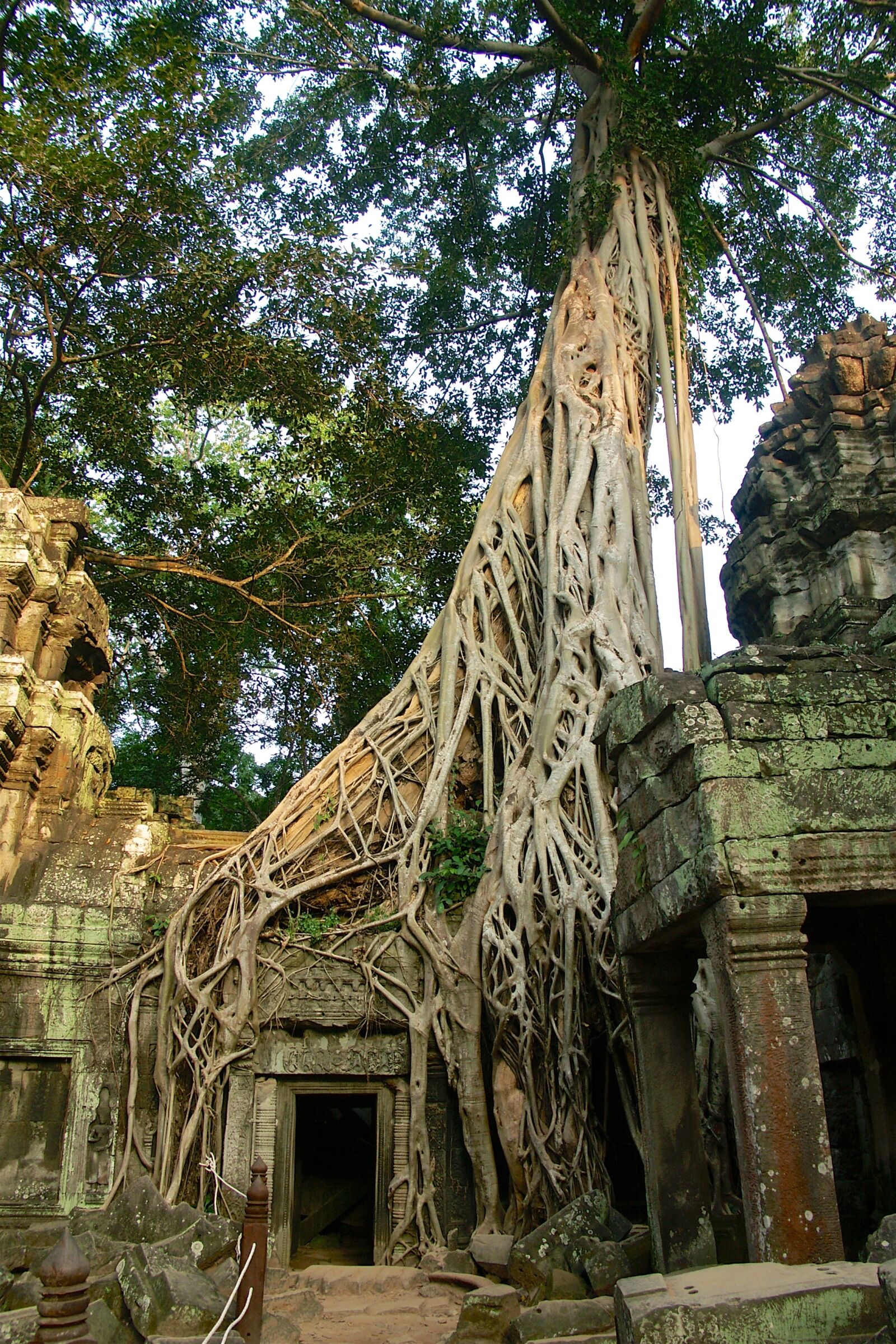 KONICA MINOLTA DiMAGE A2 sample photo. Angkor thom, cambodia, ruin photography