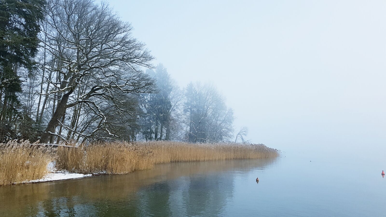Samsung Galaxy S7 Edge sample photo. Winter, reed, lake photography