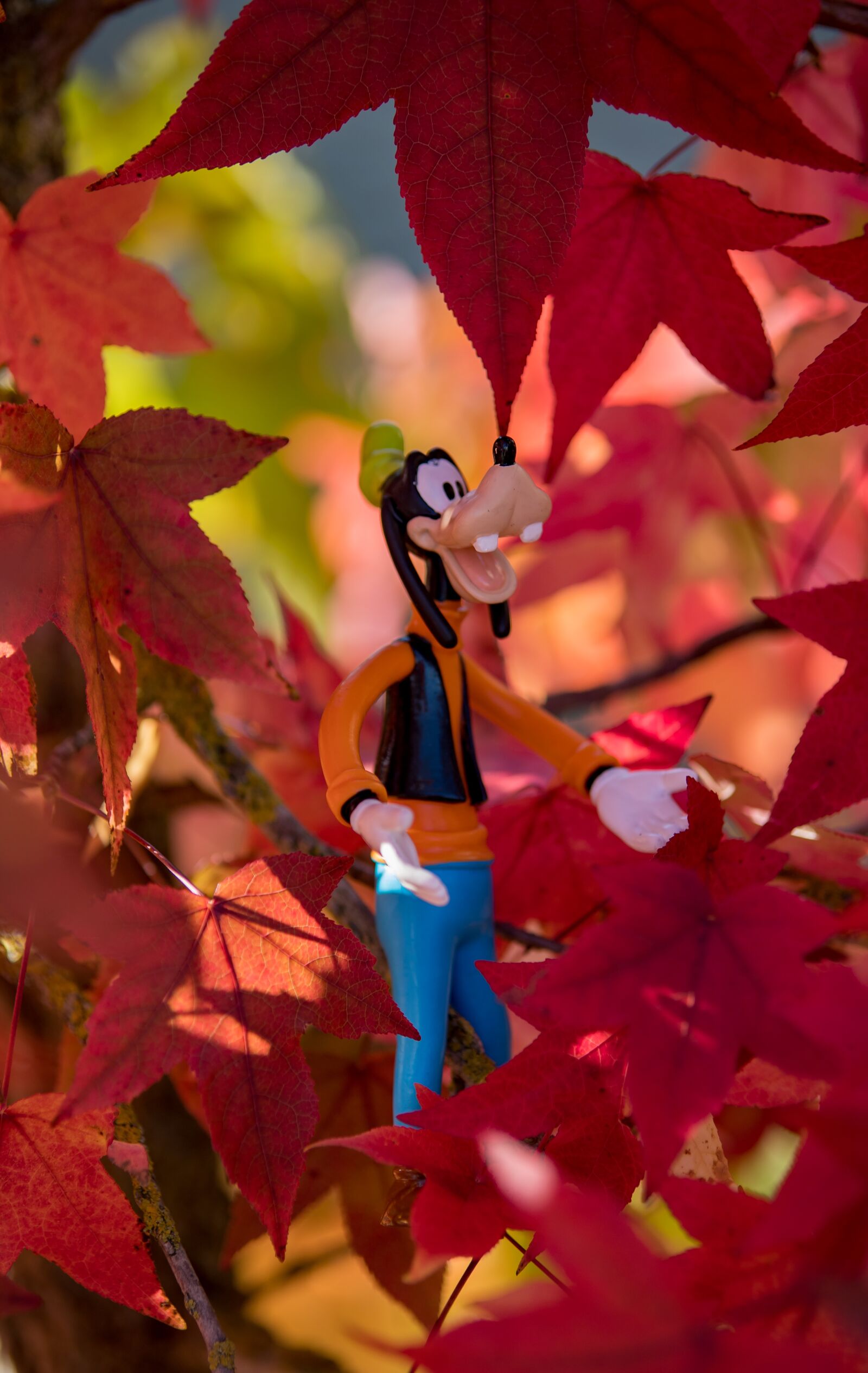 Canon EOS 6D Mark II sample photo. Disney, autumn, goofy photography