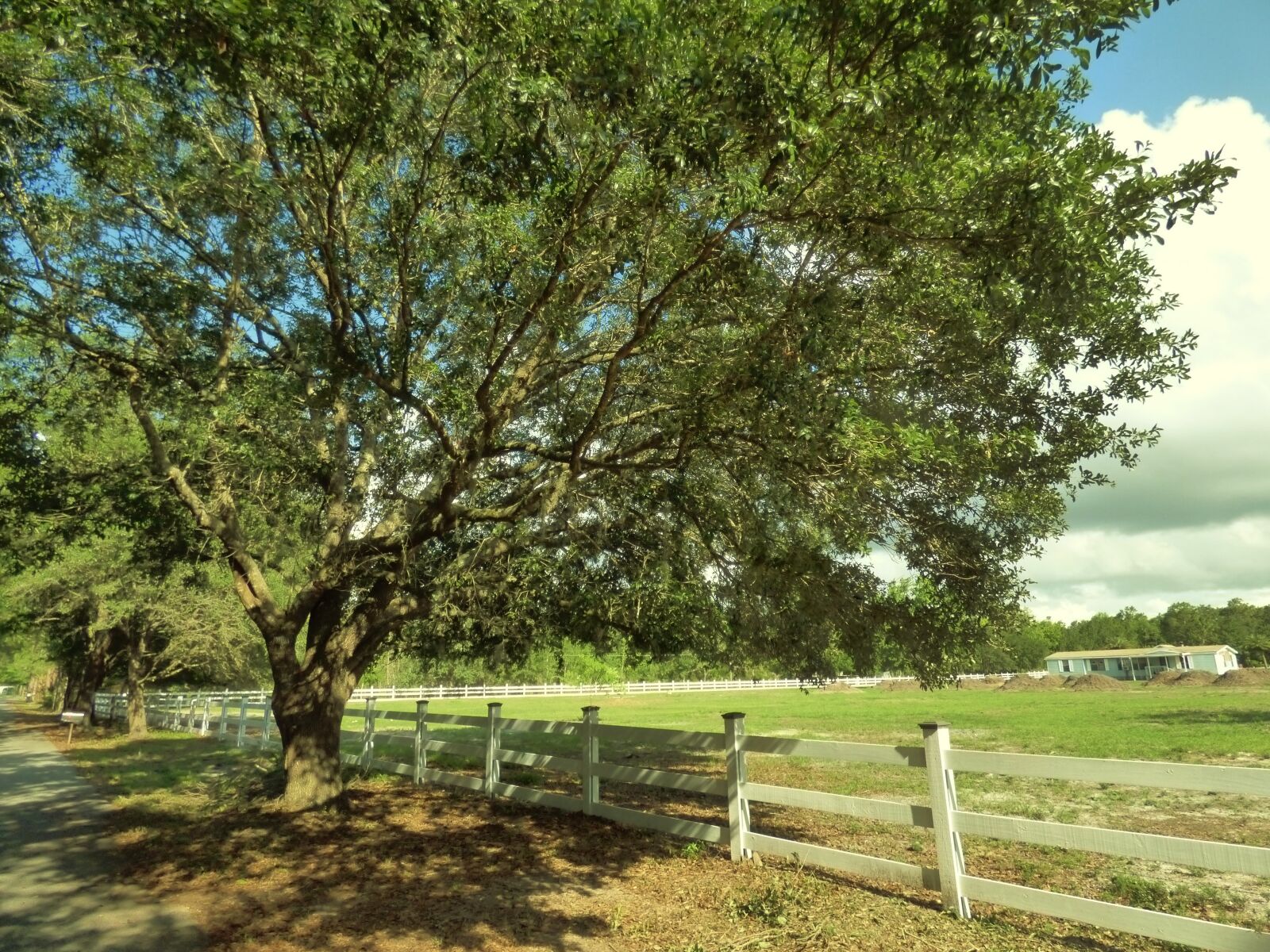 Panasonic Lumix DMC-FZ70 sample photo. Fence, oak, farm photography
